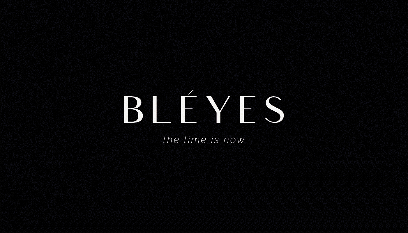 BLEYES premium brand | Brand identity | Logotype — Изображение №3 — Интерфейсы, Брендинг на Dprofile