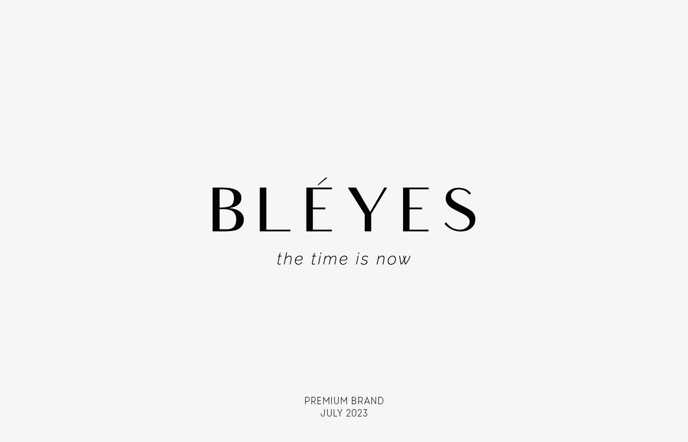 BLEYES premium brand | Brand identity | Logotype — Изображение №1 — Интерфейсы, Брендинг на Dprofile