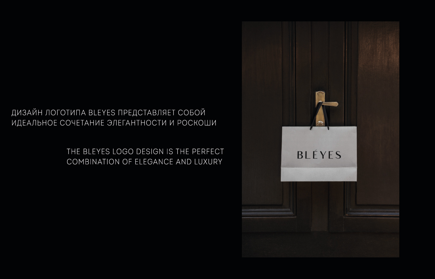 BLEYES premium brand | Brand identity | Logotype — Изображение №8 — Интерфейсы, Брендинг на Dprofile