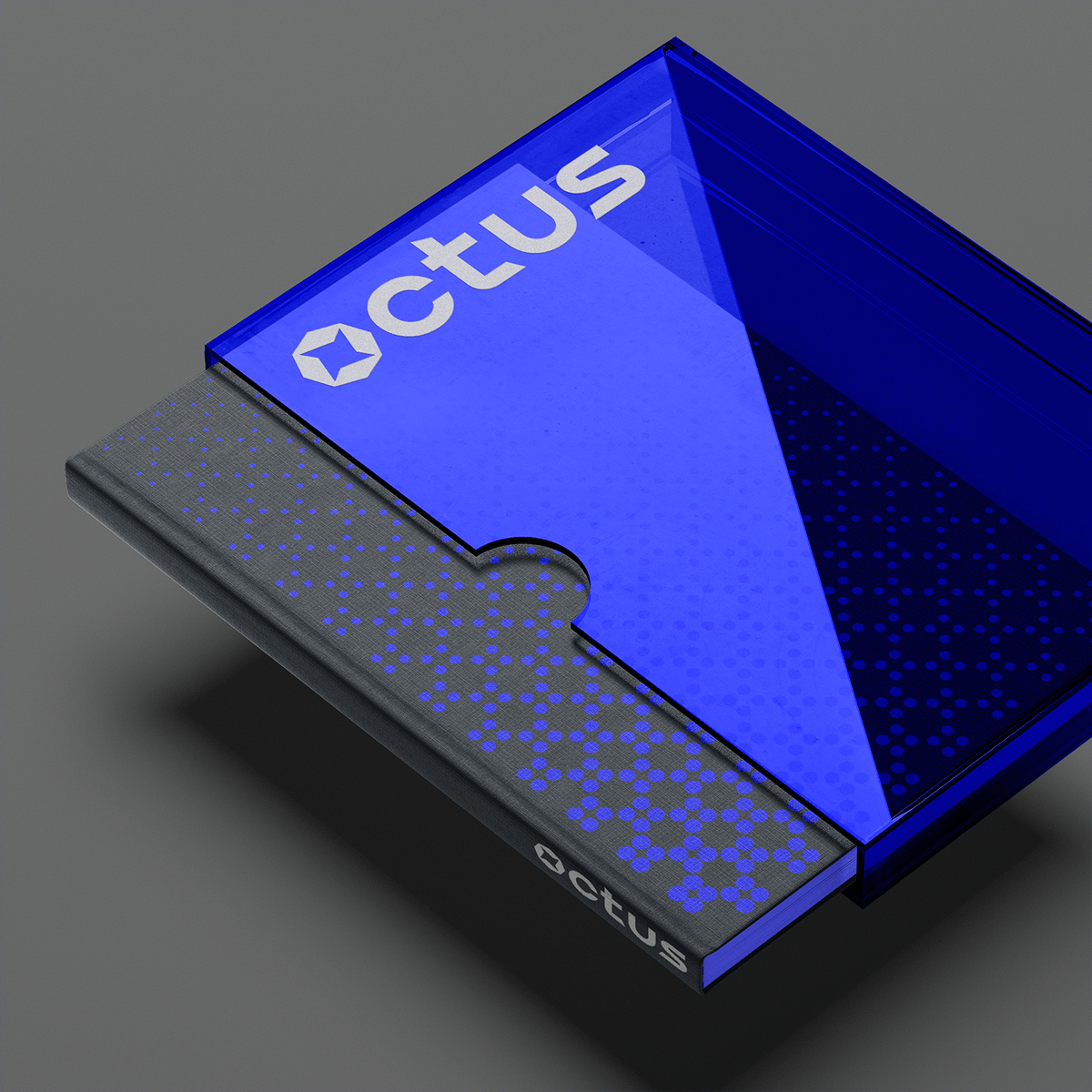 Octus — Изображение №12 — Брендинг на Dprofile