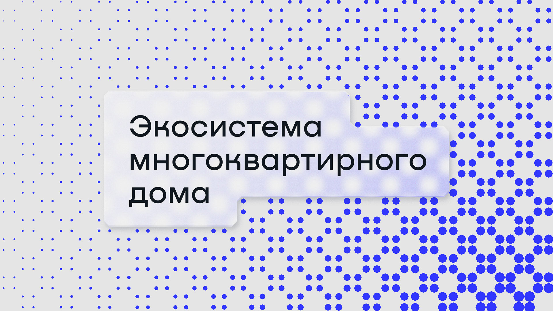 Octus — Изображение №2 — Брендинг на Dprofile