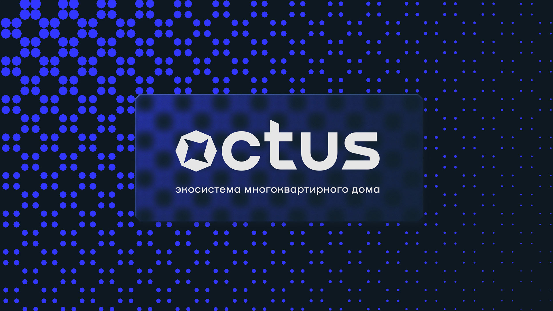 Octus — Изображение №5 — Брендинг на Dprofile