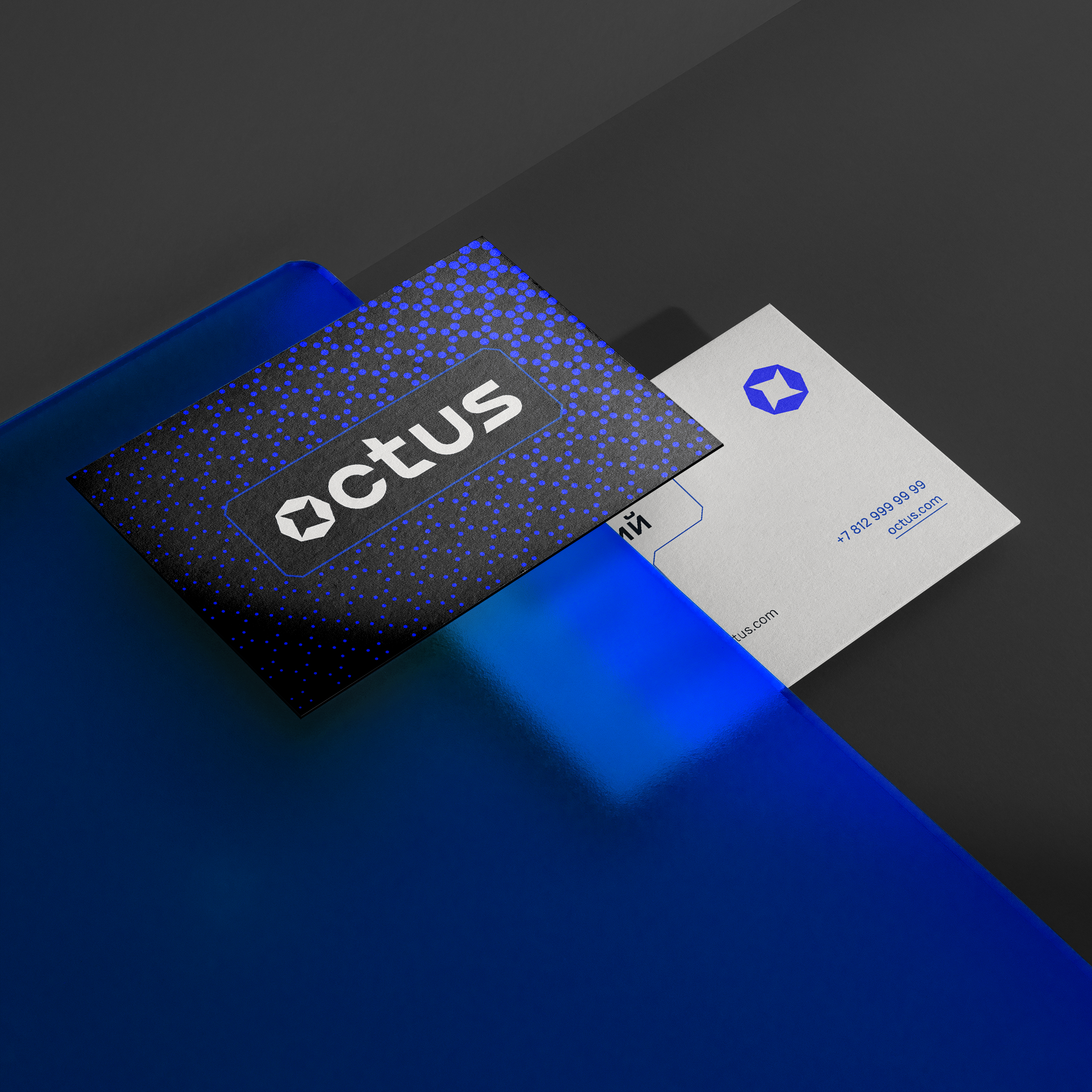 Octus — Изображение №6 — Брендинг на Dprofile