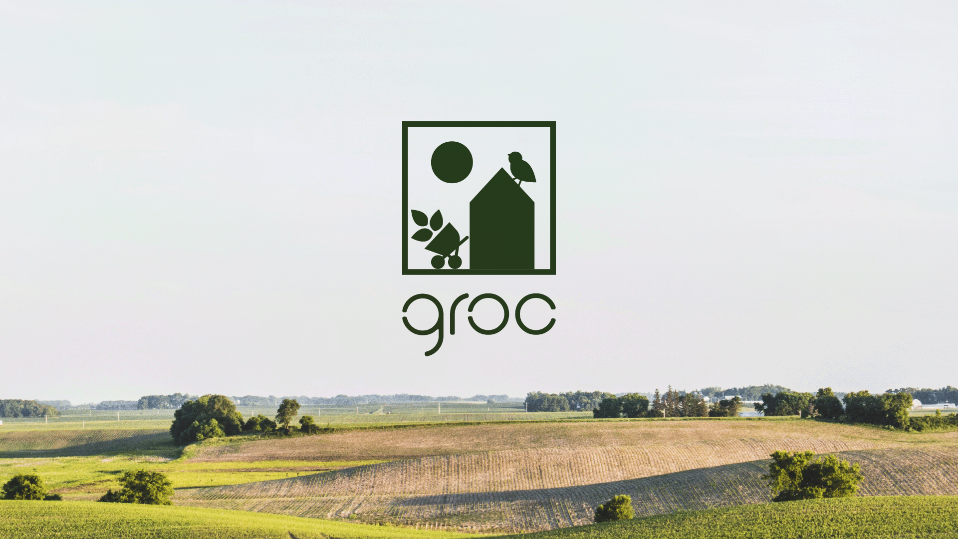 Croc logo — Изображение №1 — Брендинг на Dprofile