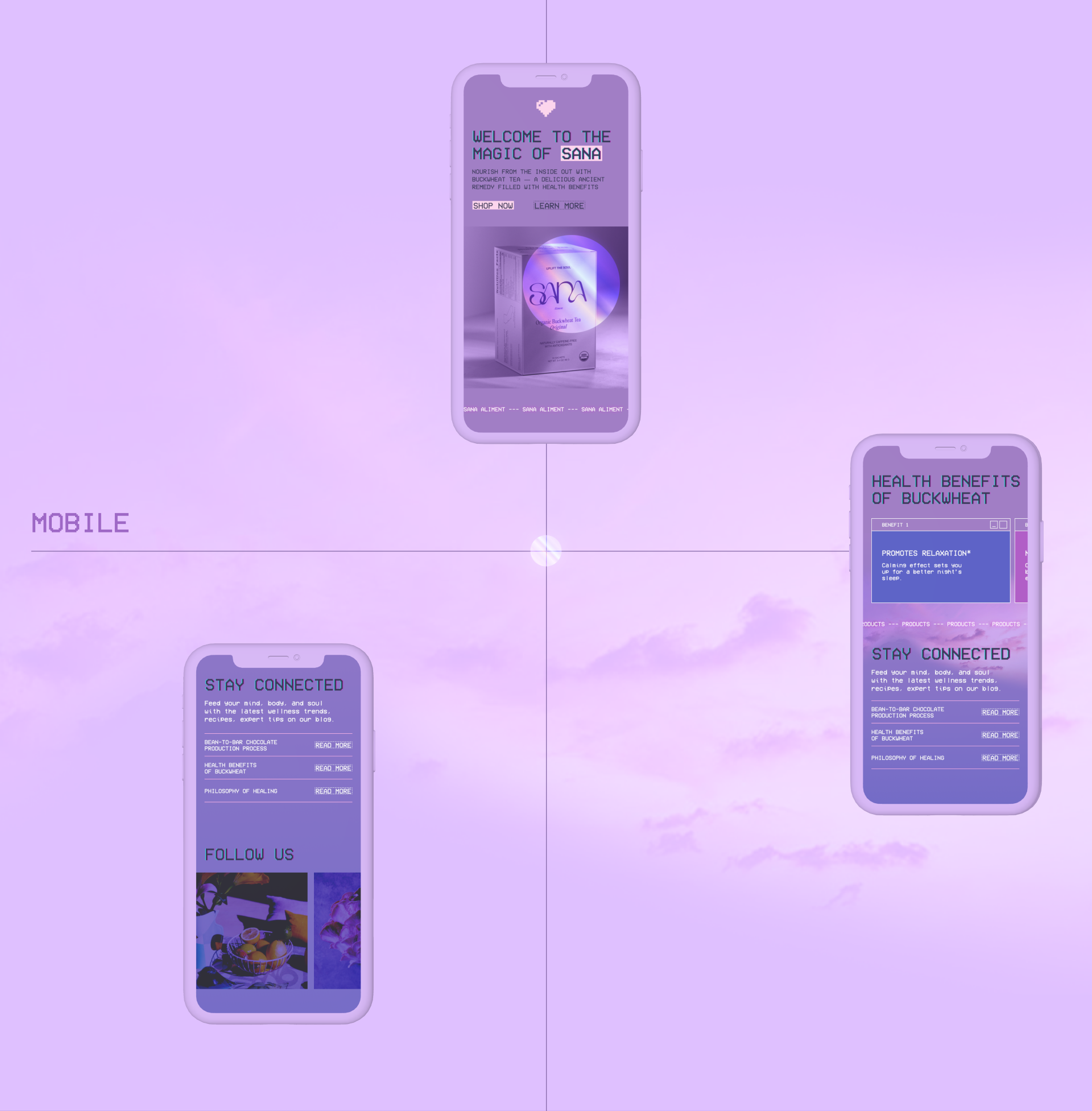 SANA redesign concept — Изображение №3 — Интерфейсы, 3D на Dprofile