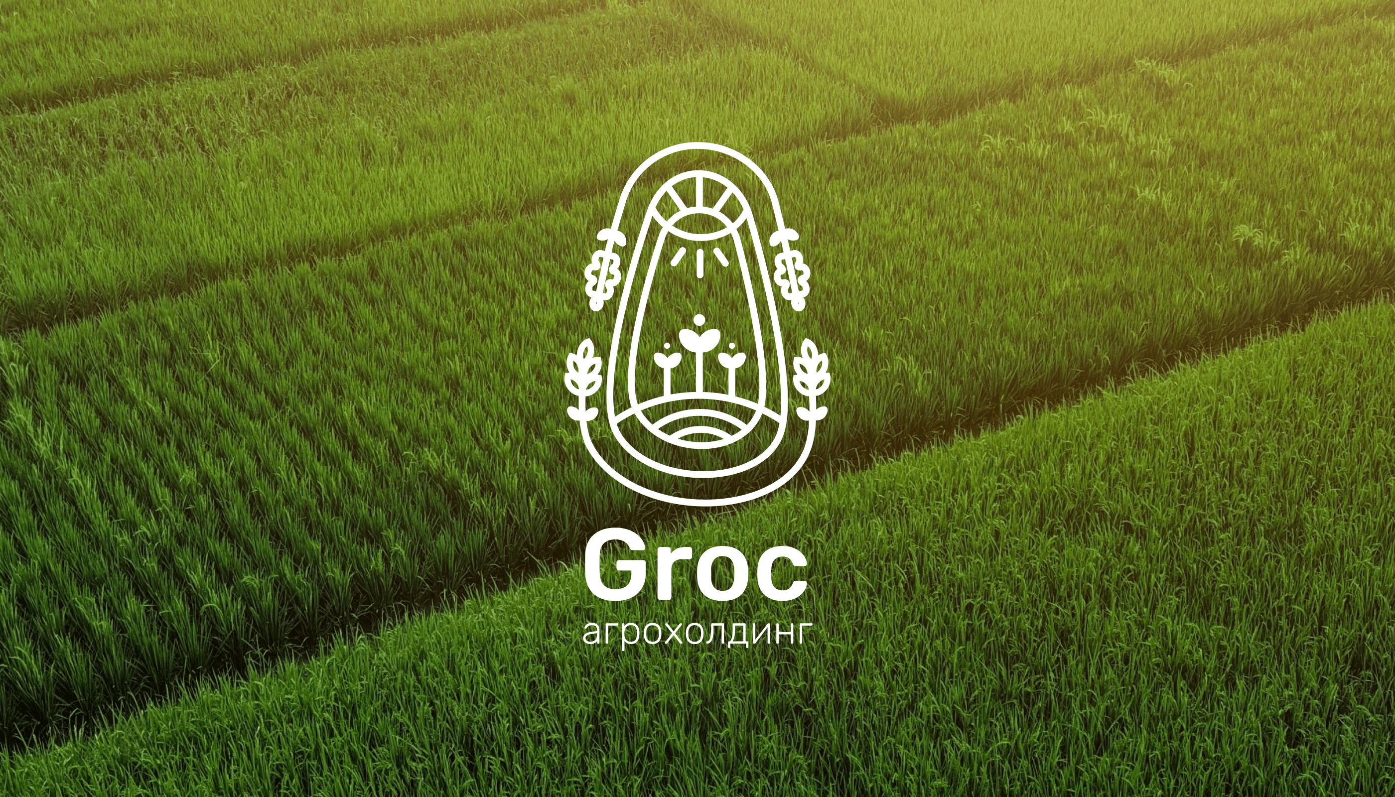 Groc | Brand Identity — Изображение №1 — Брендинг на Dprofile