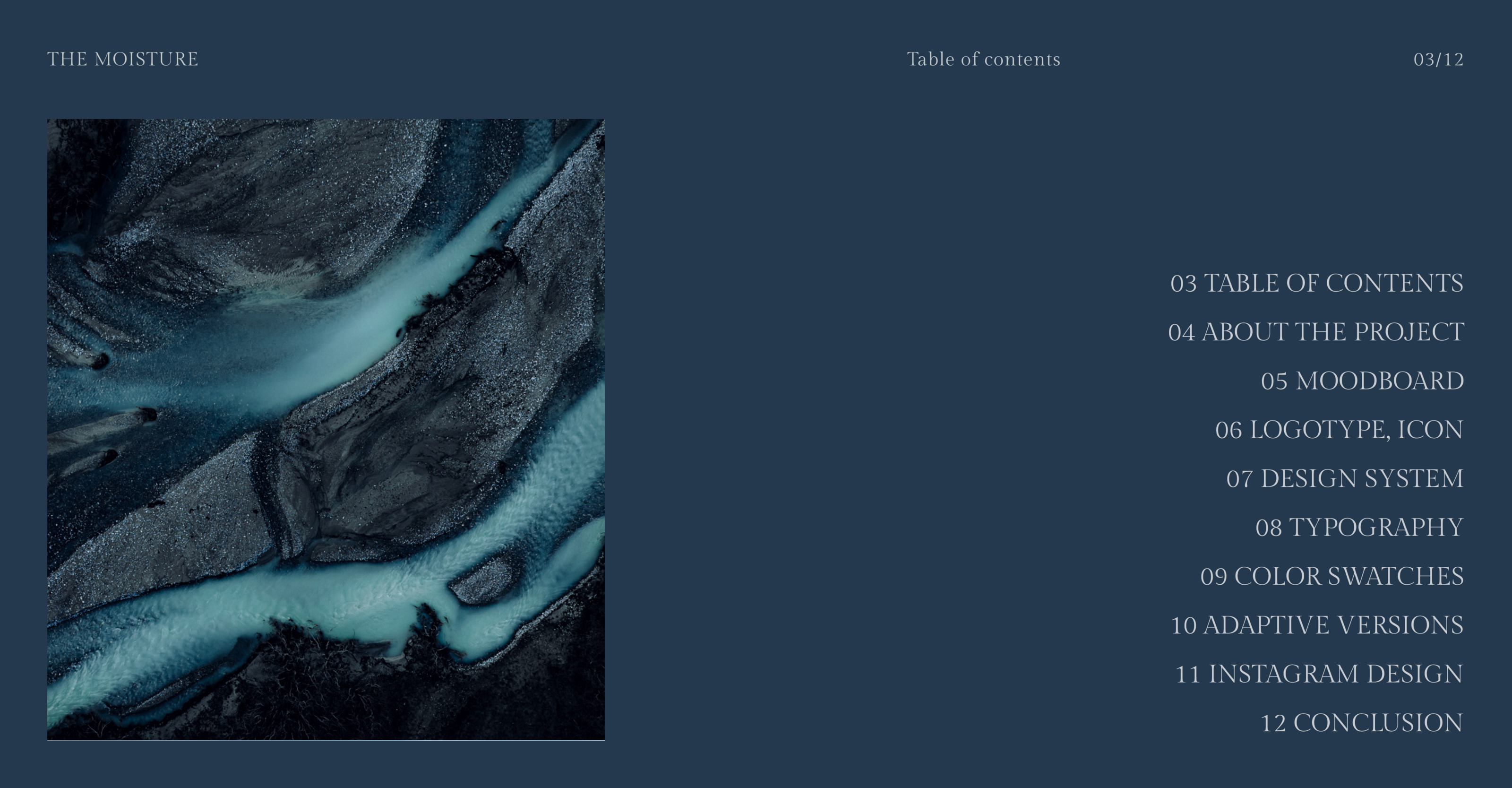 THE MOISTURE — Изображение №4 — Брендинг, Интерфейсы на Dprofile