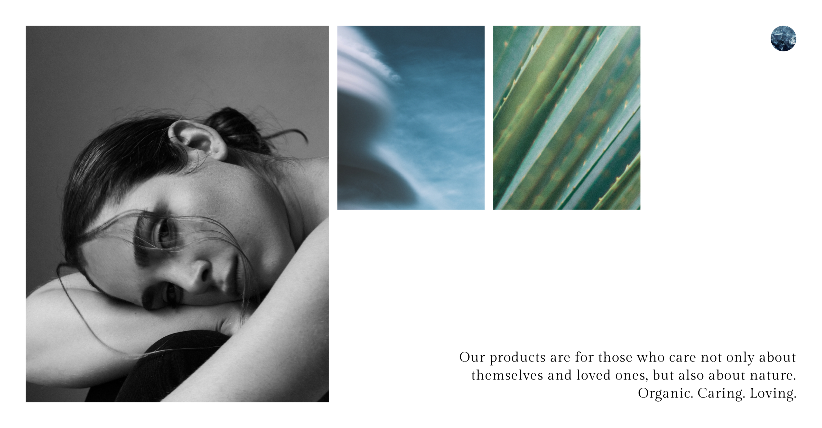 THE MOISTURE — Изображение №6 — Брендинг, Интерфейсы на Dprofile