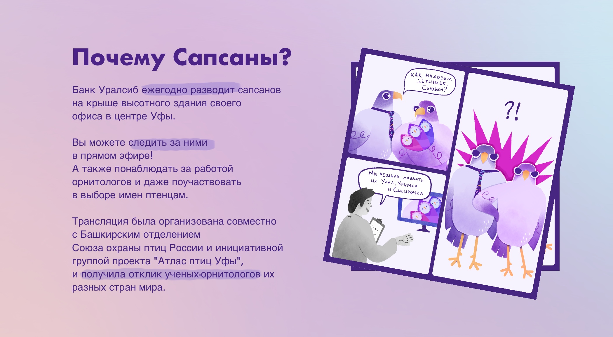 АНИМИРОВАННЫЕ СТИКЕРЫ телеграм | Будни сапсанов — Изображение №19 — Брендинг, Анимация на Dprofile