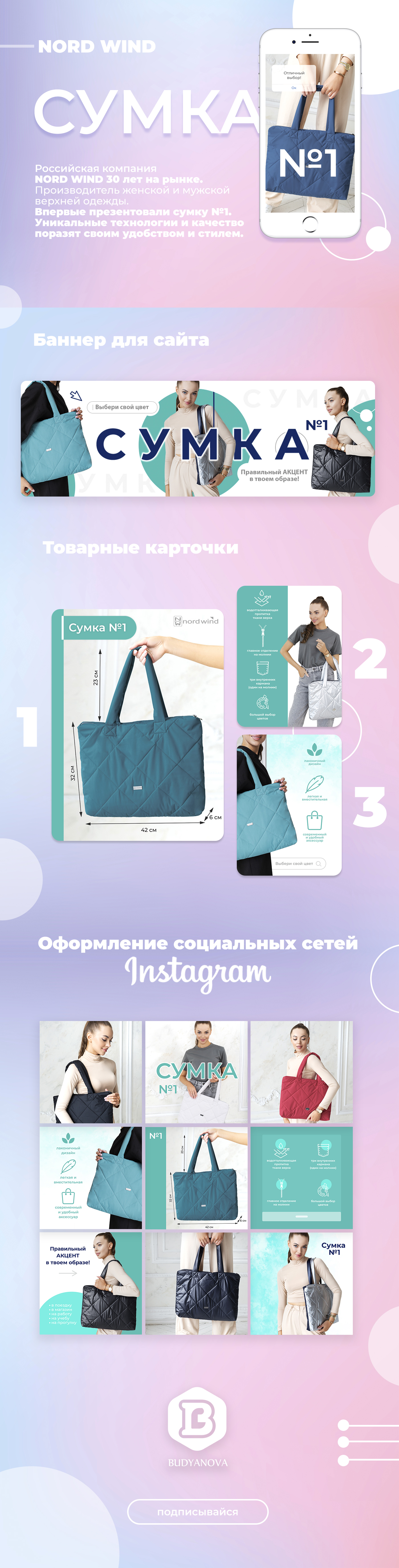 Web-дизайн. Nord wind. Сумка 1 — Изображение №1 — Брендинг, Маркетинг на Dprofile