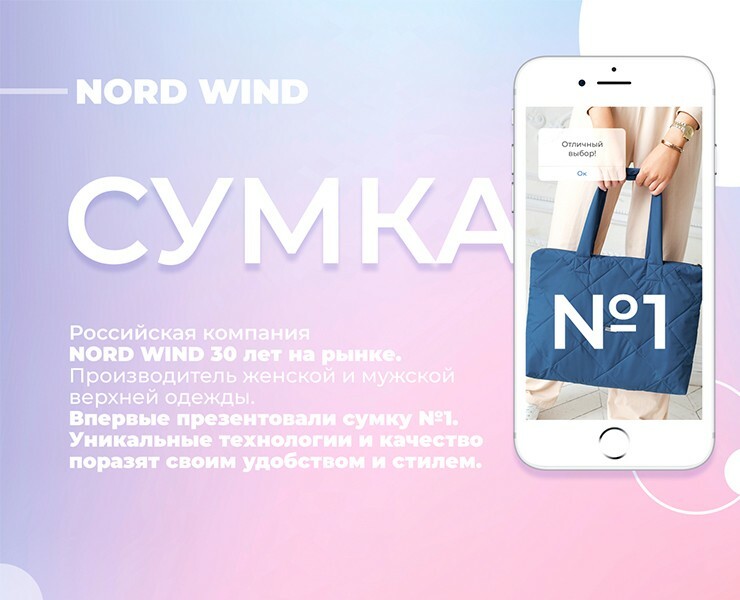Web-дизайн. Nord wind. Сумка 1 — Брендинг, Маркетинг на Dprofile