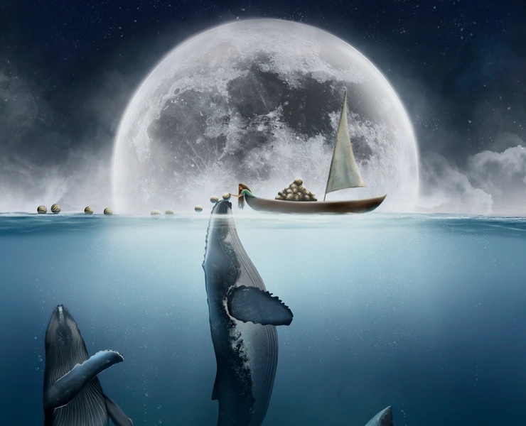 Обложка для книги “Wale is not a fish” — Иллюстрация на Dprofile