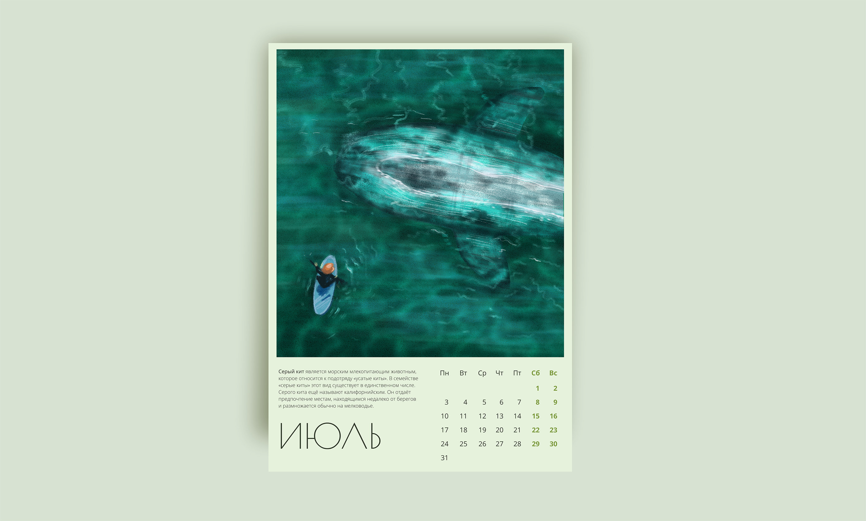 Заповедный календарь с иллюстрациями. 2023 — Изображение №11 — Иллюстрация, Графика на Dprofile
