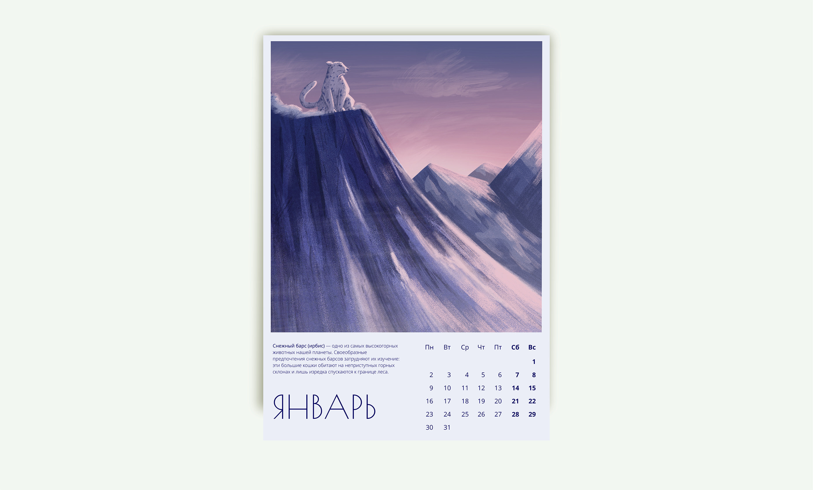 Заповедный календарь с иллюстрациями. 2023 — Изображение №24 — Иллюстрация, Графика на Dprofile