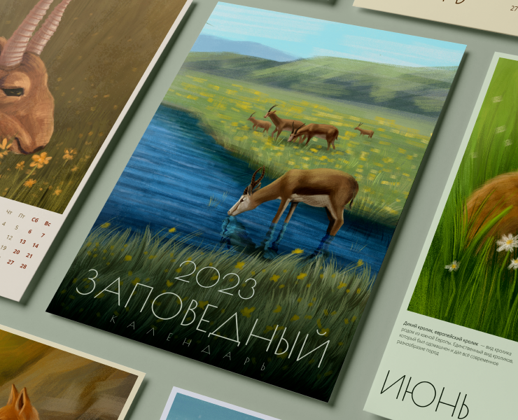 Заповедный календарь с иллюстрациями. 2023 — Иллюстрация, Графика на Dprofile