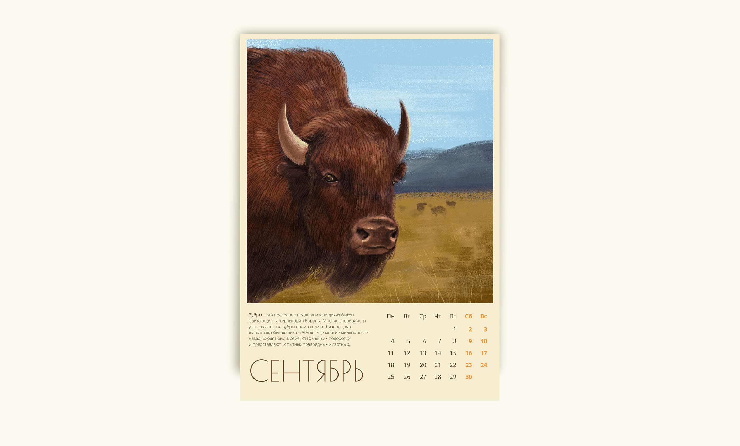 Заповедный календарь с иллюстрациями. 2023 — Изображение №17 — Иллюстрация, Графика на Dprofile