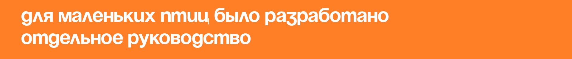 Руководство строителя птичьей мастерской «По гнезду!» — Изображение №26 — Брендинг, Графика на Dprofile