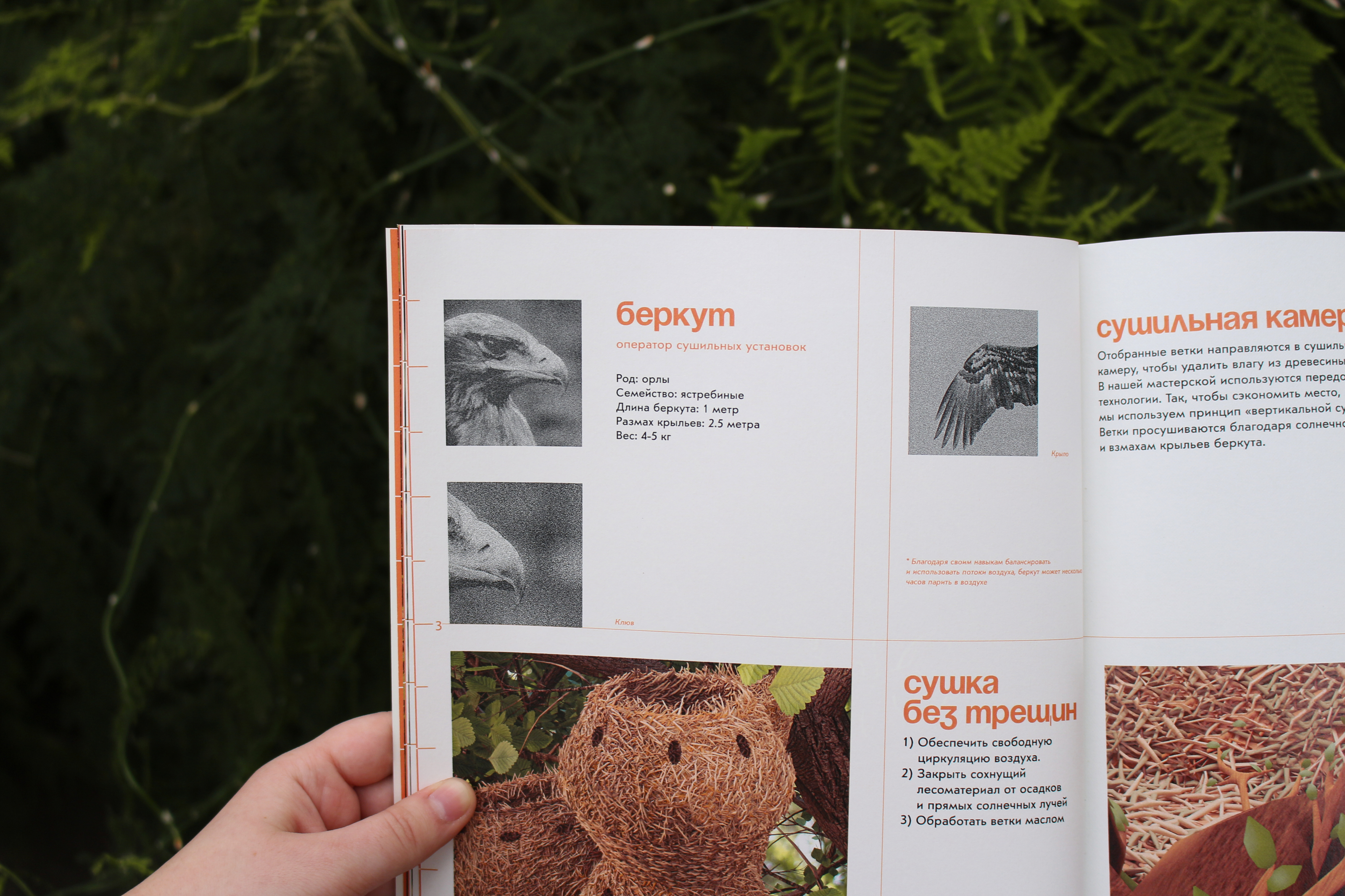 Руководство строителя птичьей мастерской «По гнезду!» — Изображение №15 — Брендинг, Графика на Dprofile