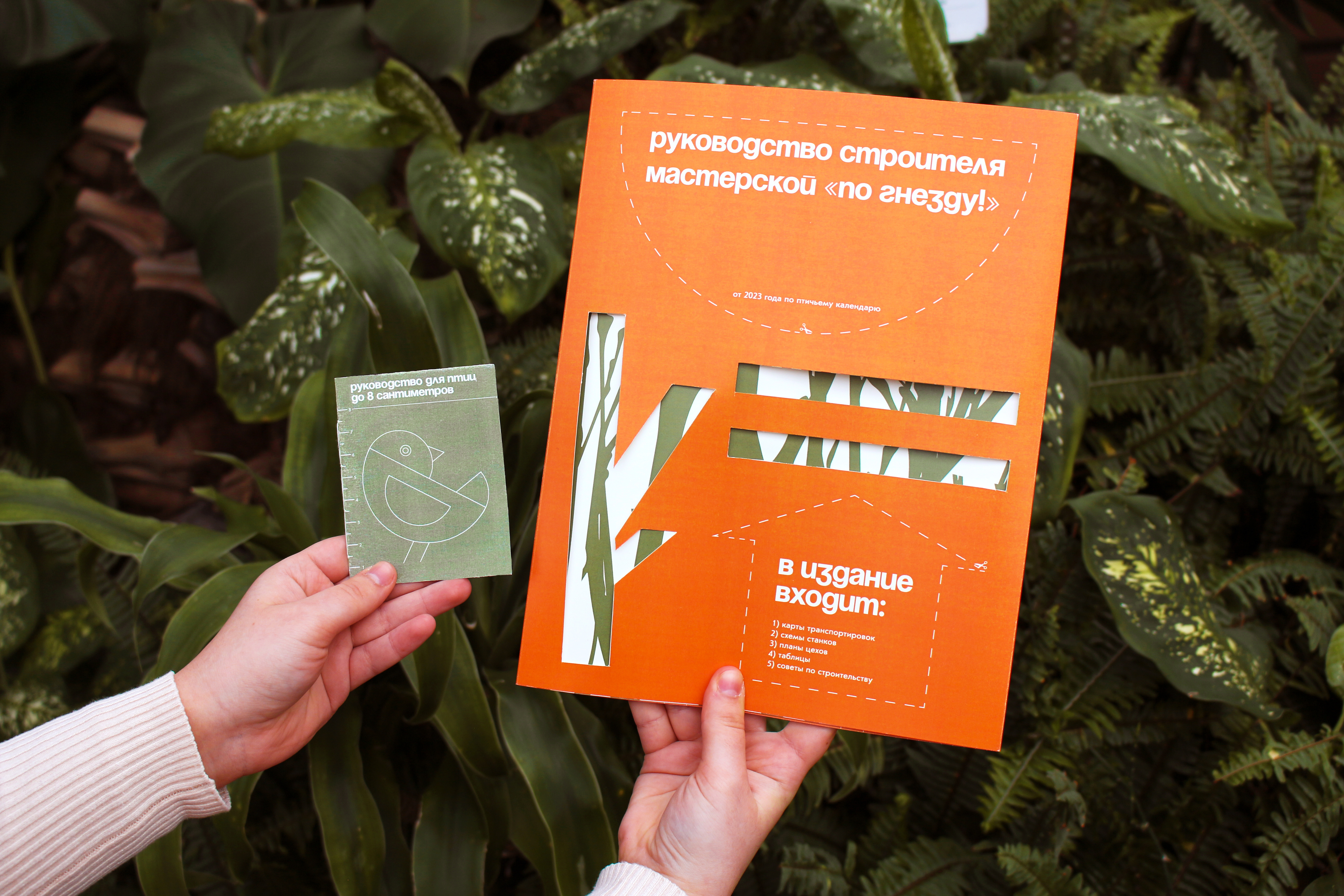 Руководство строителя птичьей мастерской «По гнезду!» — Изображение №27 — Брендинг, Графика на Dprofile