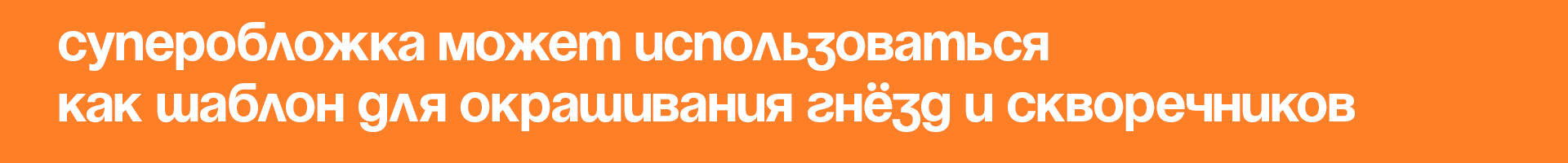Руководство строителя птичьей мастерской «По гнезду!» — Изображение №7 — Брендинг, Графика на Dprofile