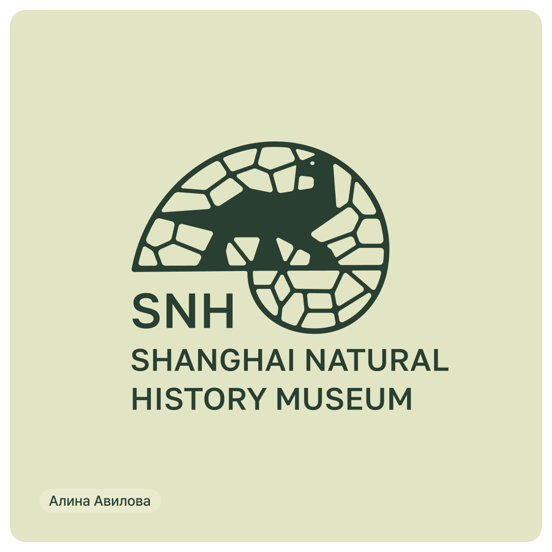 Дизайн-сериал «ВО ВСЕ КРИВЫЕ» — Изображение №31 — Брендинг на Dprofile