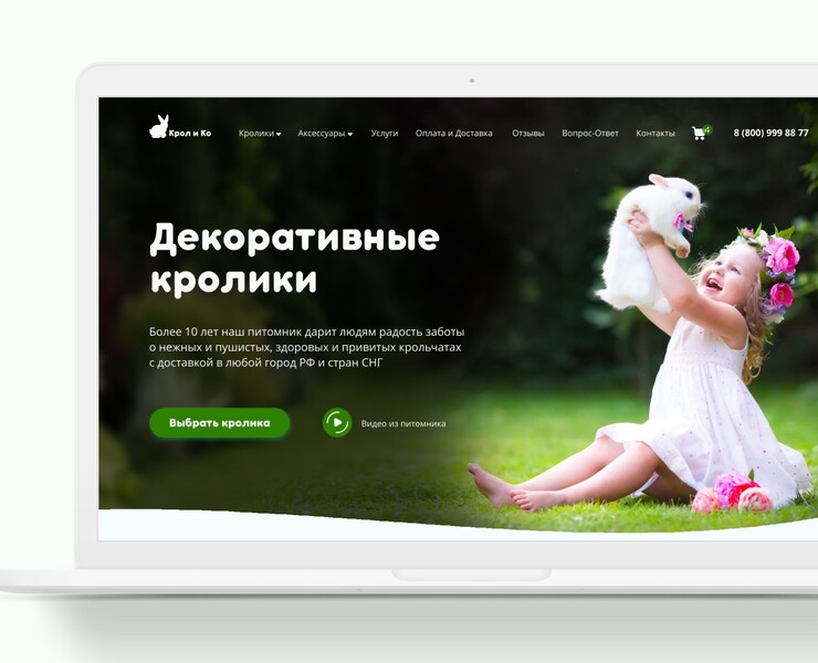 Редизайн сайта по продаже декоративных кроликов на Dprofile
