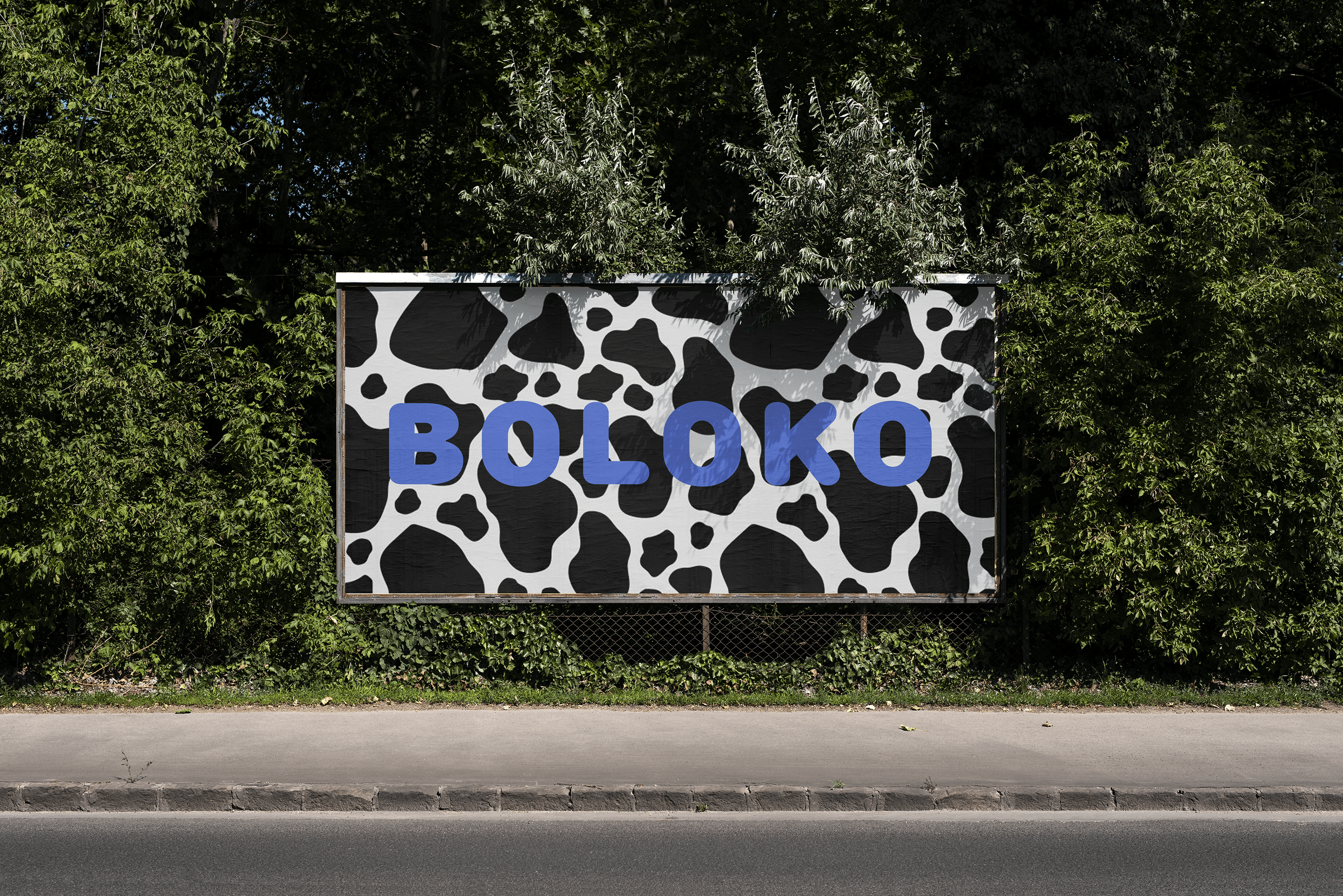 бренд дизайн BOLOKO — Изображение №18 — Брендинг, Иллюстрация на Dprofile
