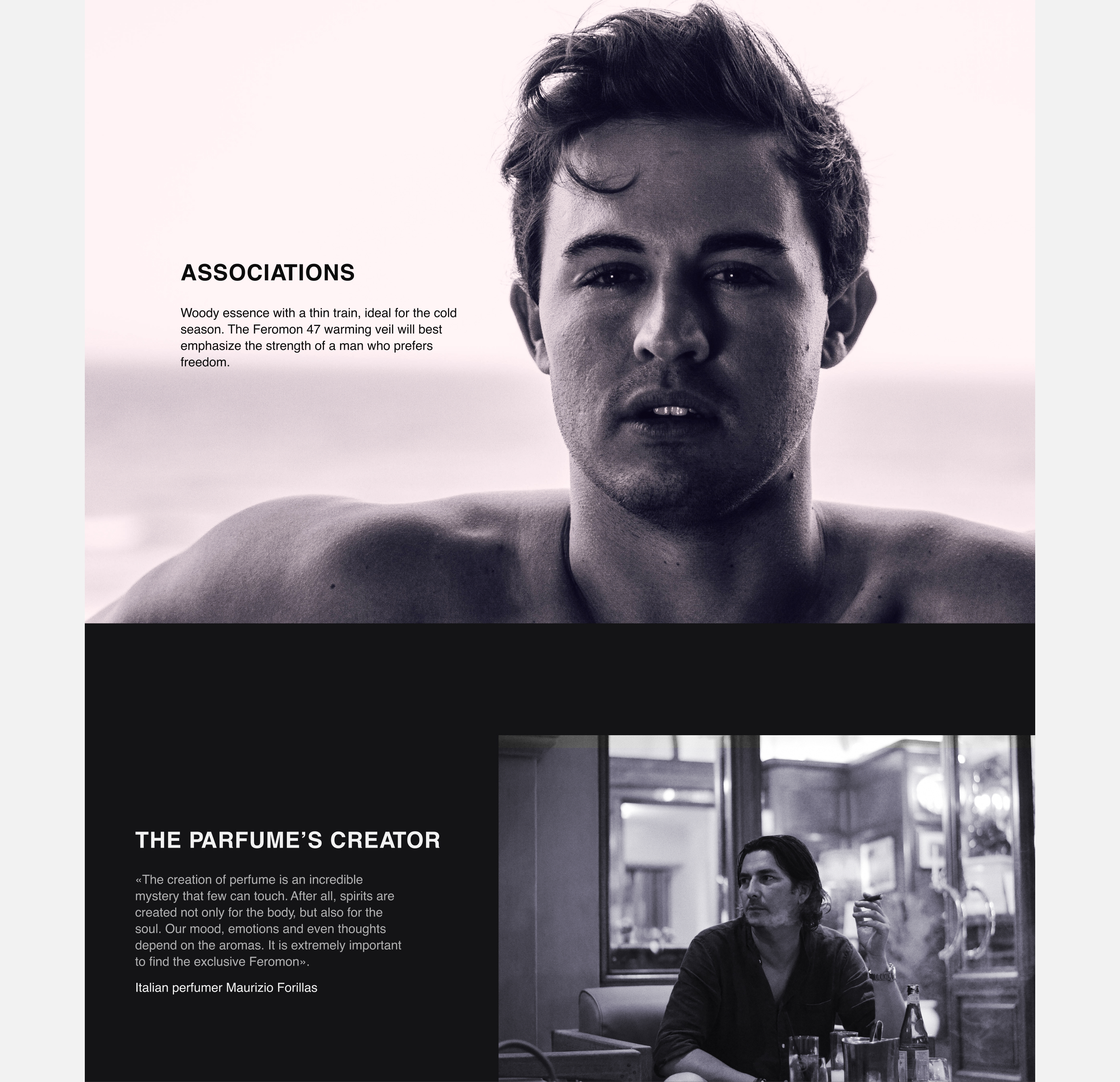 Landing Page Feromon 47 — Изображение №10 — Интерфейсы, Маркетинг на Dprofile