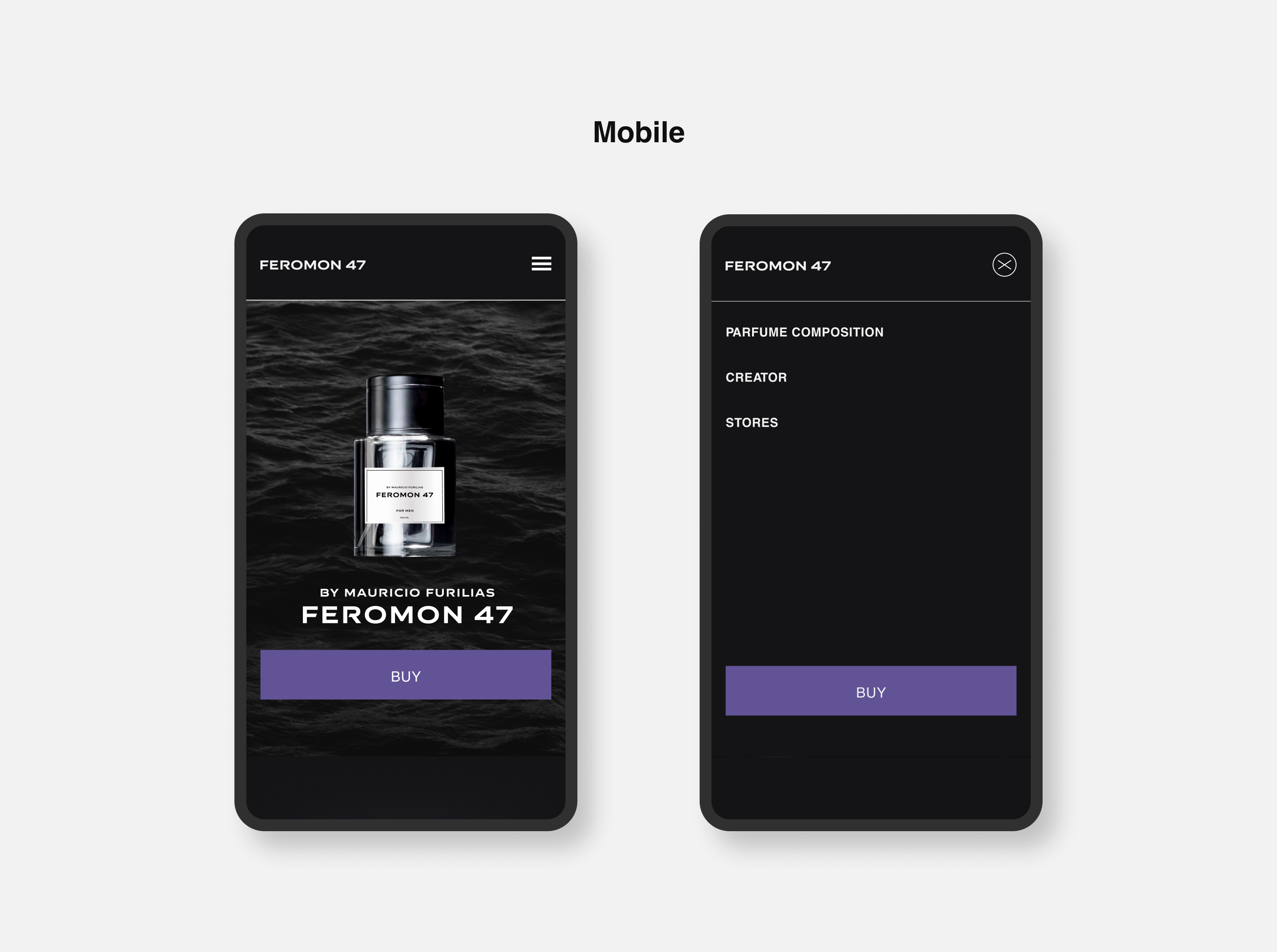 Landing Page Feromon 47 — Изображение №13 — Интерфейсы, Маркетинг на Dprofile