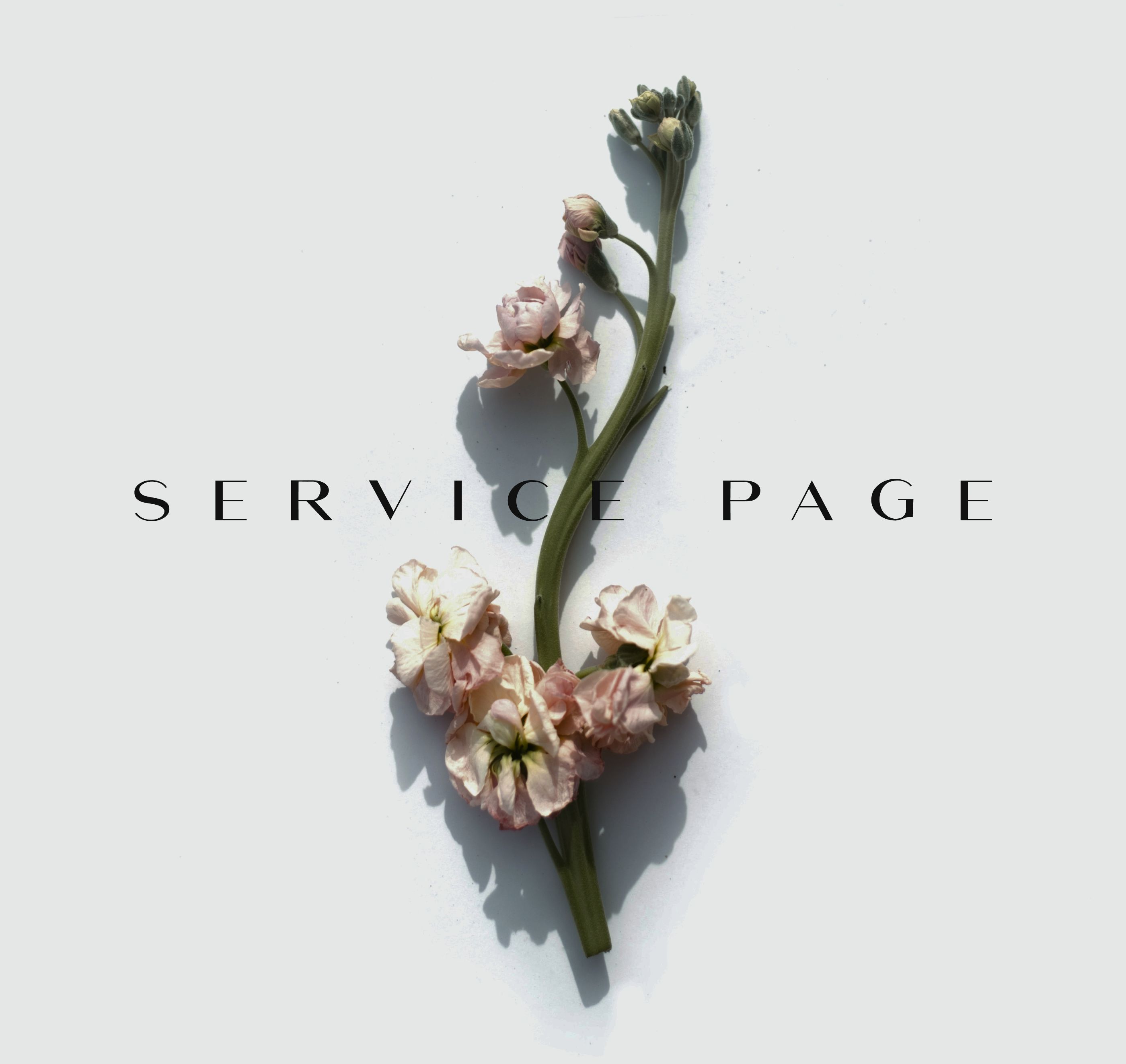 Multi-page website Beauty Studio RIVER — Изображение №16 — Интерфейсы, Маркетинг на Dprofile