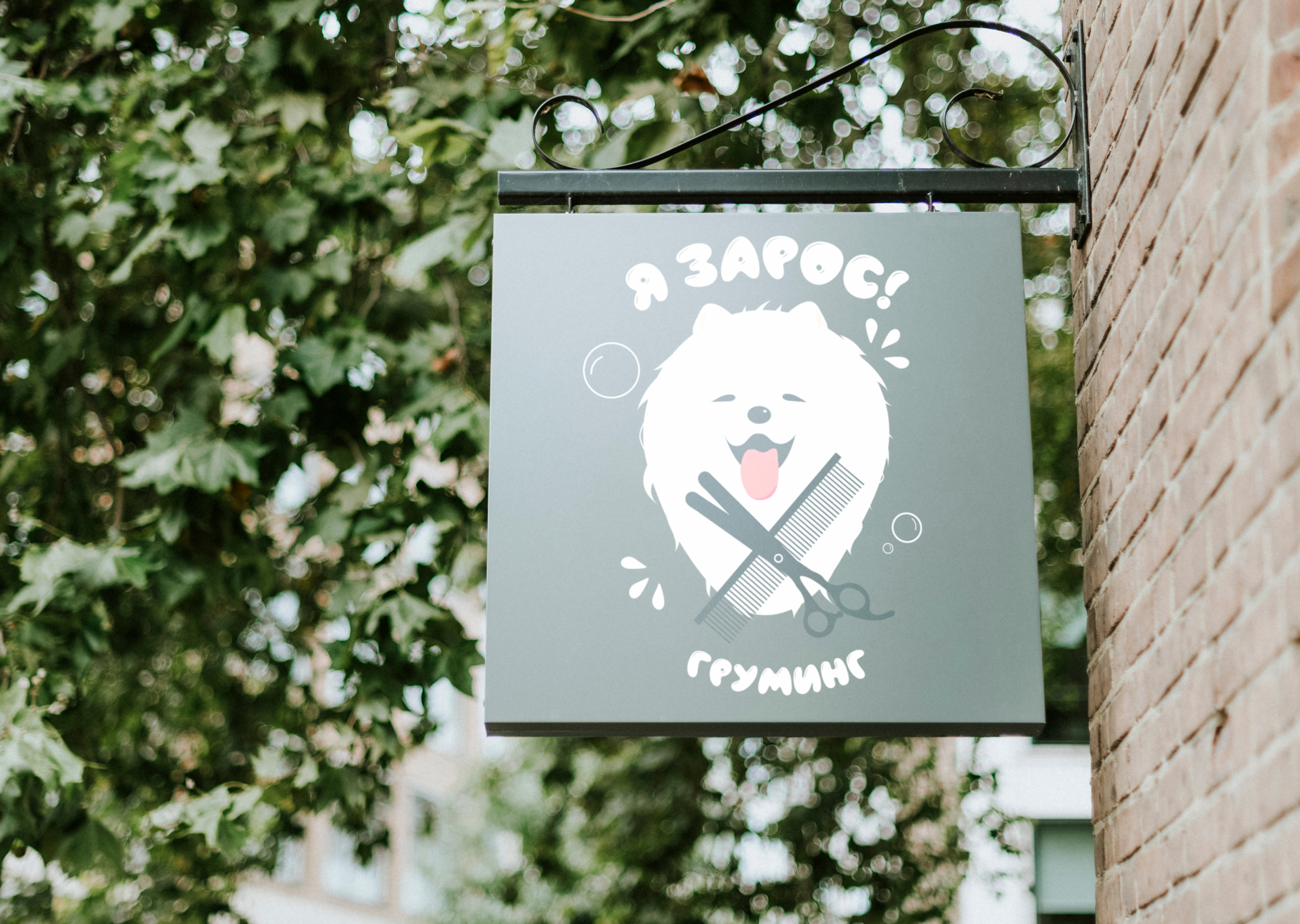 Логотип для груминг салона — Изображение №3 — Брендинг на Dprofile