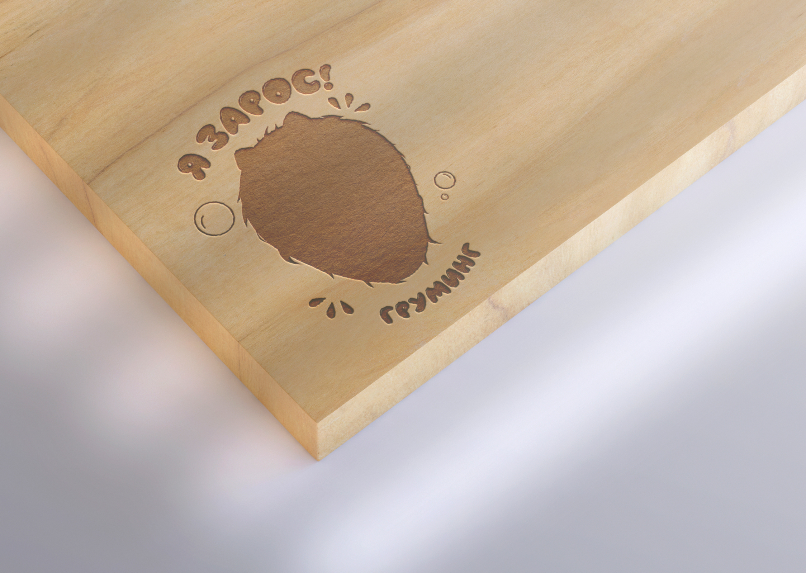 Логотип для груминг салона — Изображение №5 — Брендинг на Dprofile