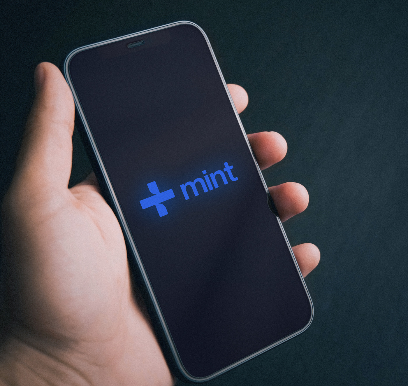Mint / Лого, брендинг — Изображение №10 — Брендинг, Графика на Dprofile