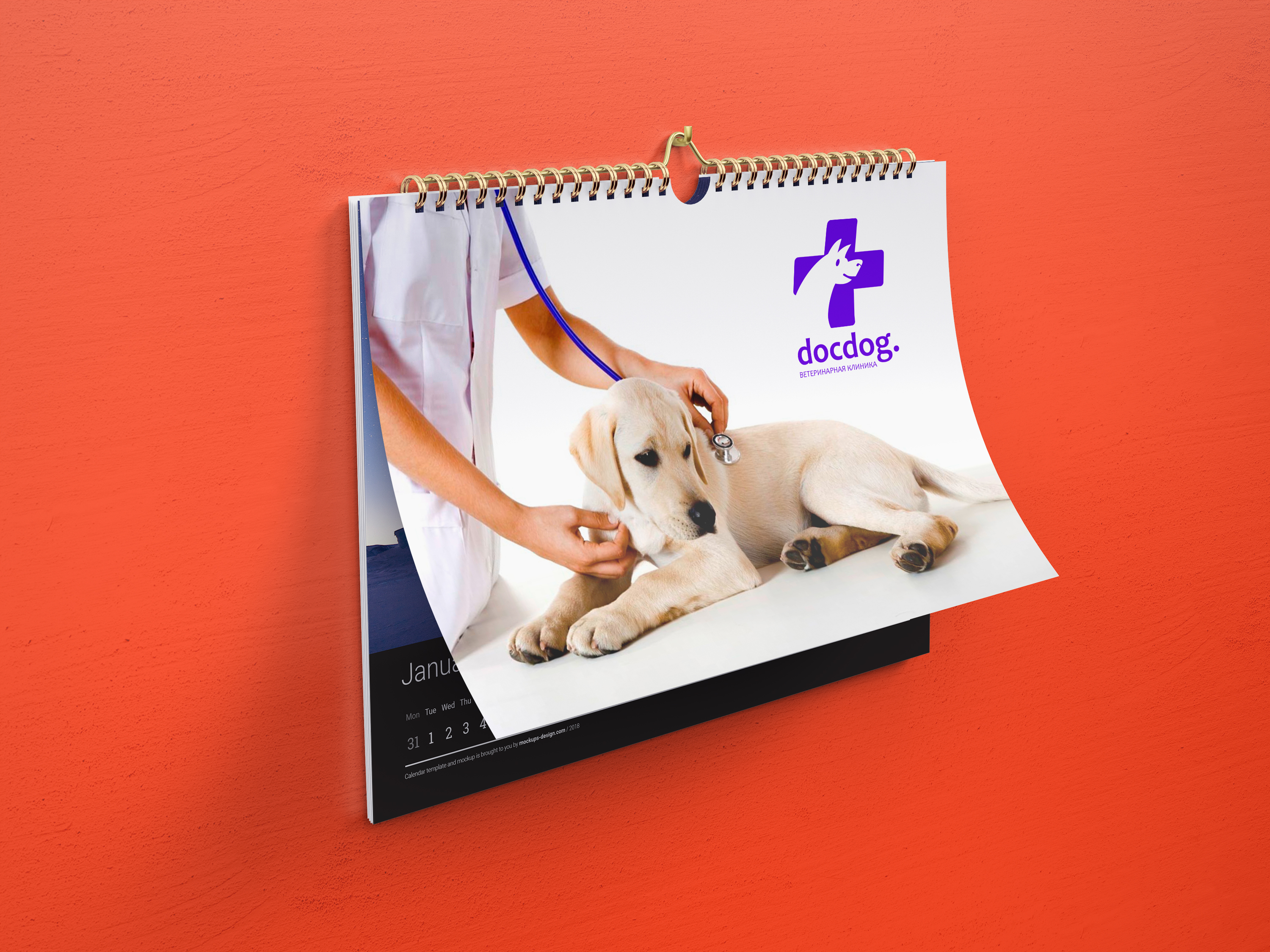 docdog. Разработка логотипа для ветеринарной клиники. — Изображение №5 — Брендинг на Dprofile