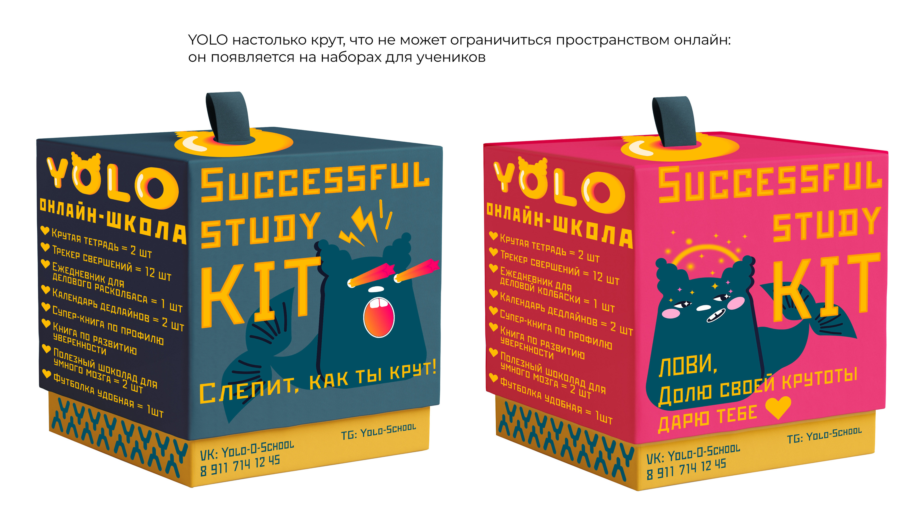 Online-School CONCEPT — Изображение №5 — Иллюстрация, Графика на Dprofile