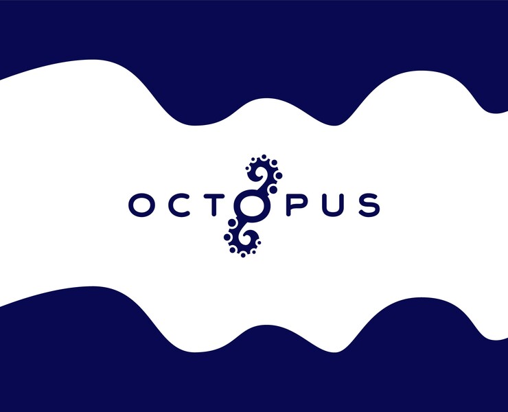 Камчатский магазин морепродуктов. Учебный проект. — Брендинг, Графика на Dprofile