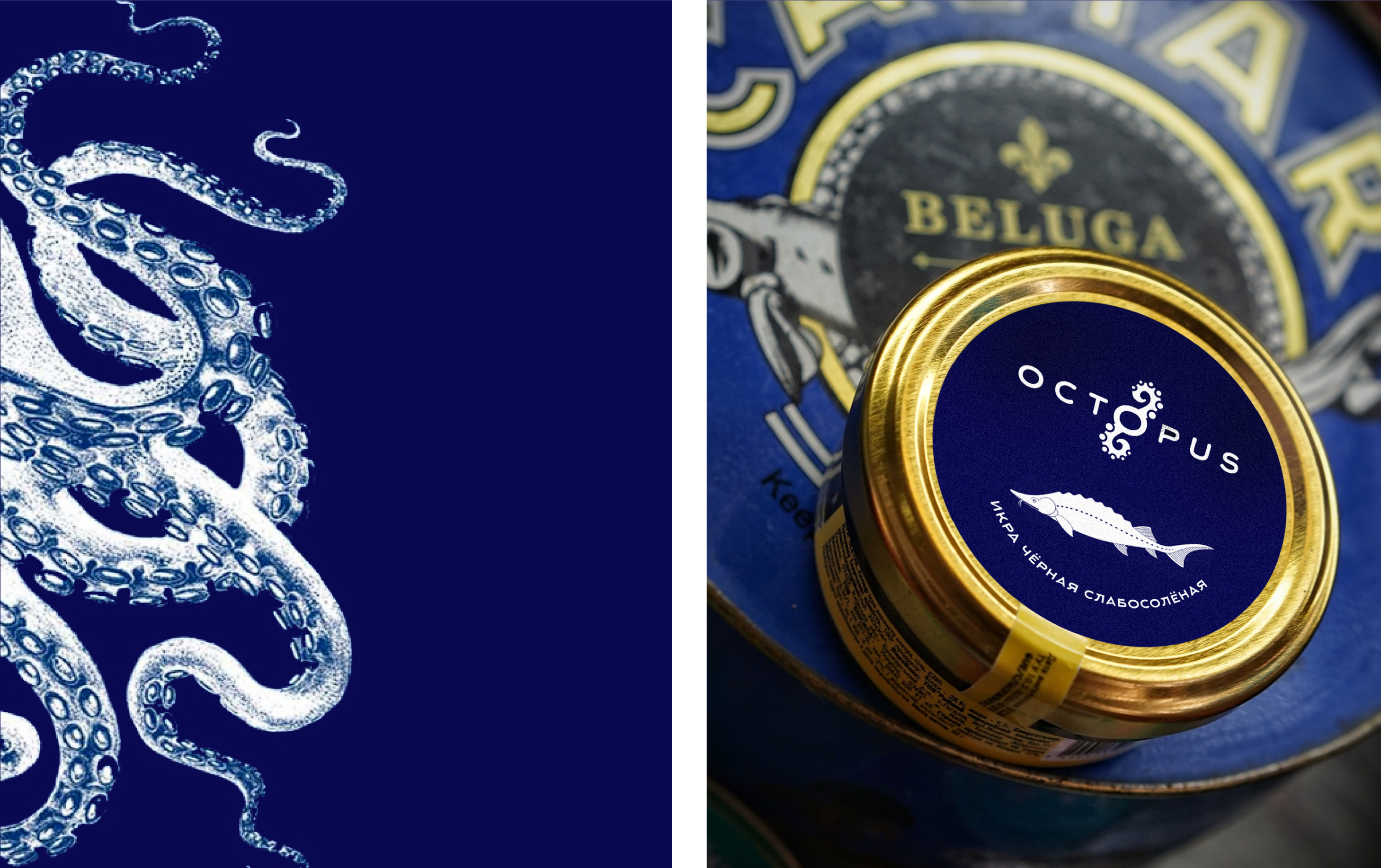 Камчатский магазин морепродуктов. Учебный проект. — Изображение №5 — Брендинг, Графика на Dprofile