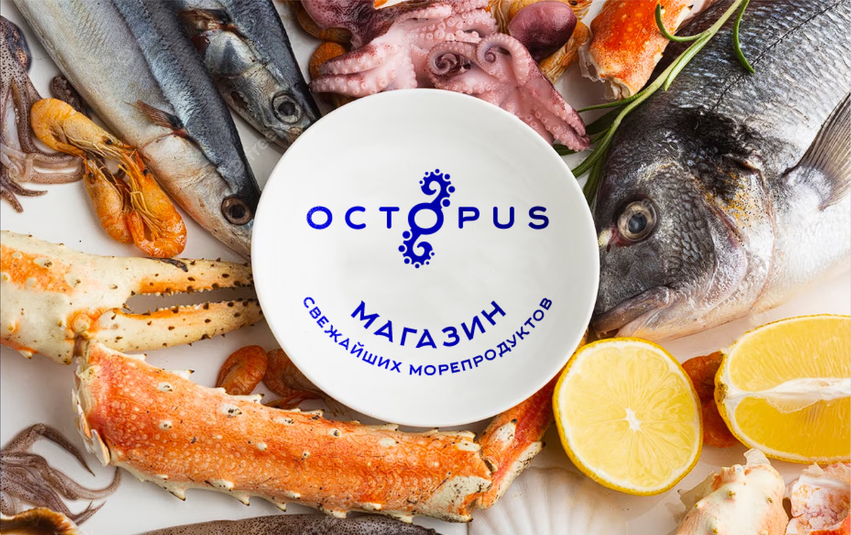 Камчатский магазин морепродуктов. Учебный проект. — Изображение №2 — Брендинг, Графика на Dprofile