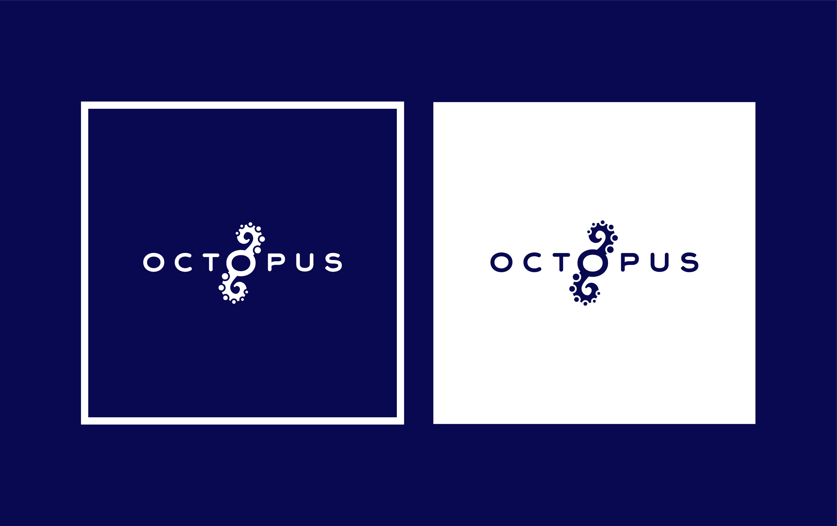 Камчатский магазин морепродуктов. Учебный проект. — Изображение №3 — Брендинг, Графика на Dprofile