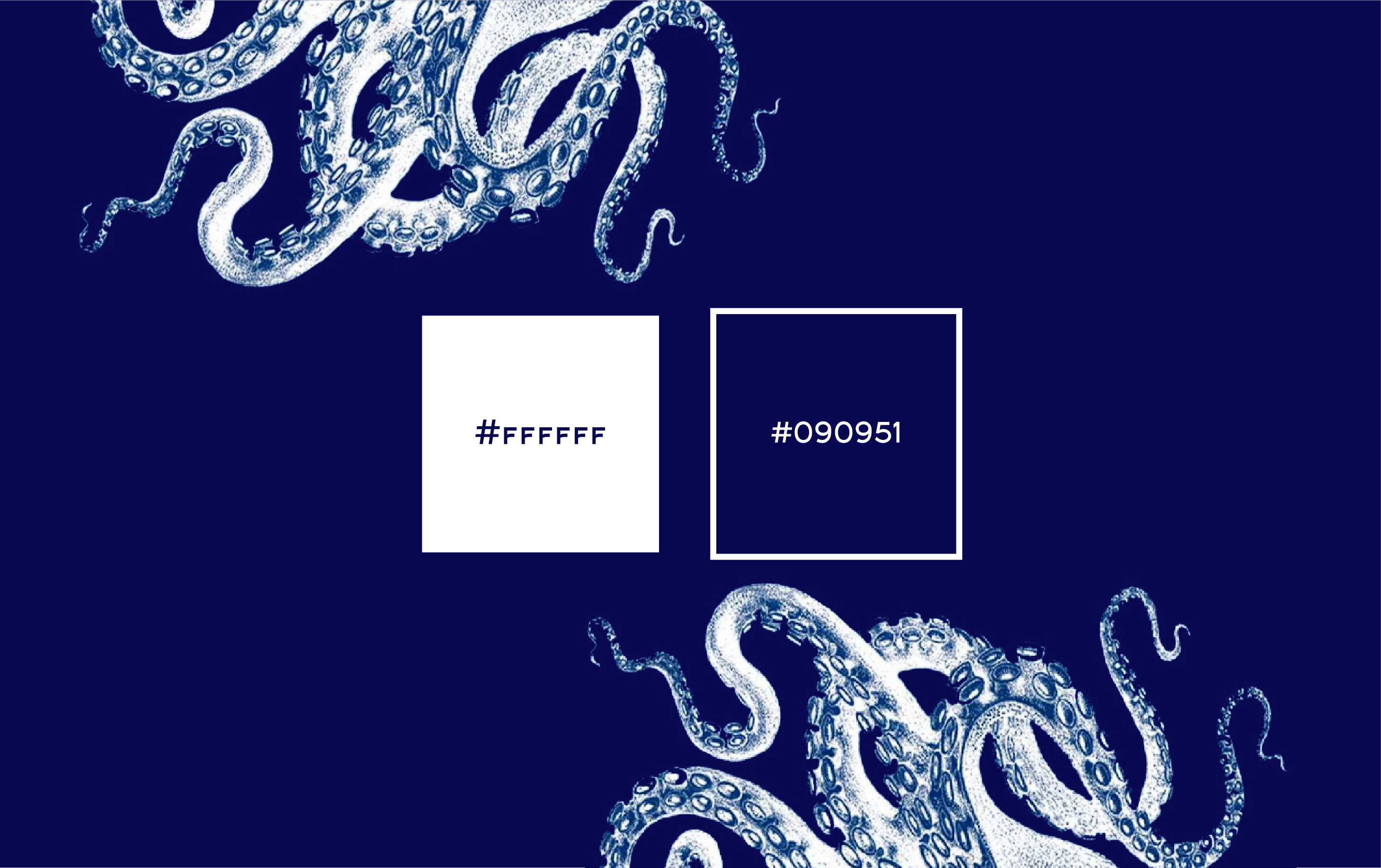 Камчатский магазин морепродуктов. Учебный проект. — Изображение №9 — Брендинг, Графика на Dprofile