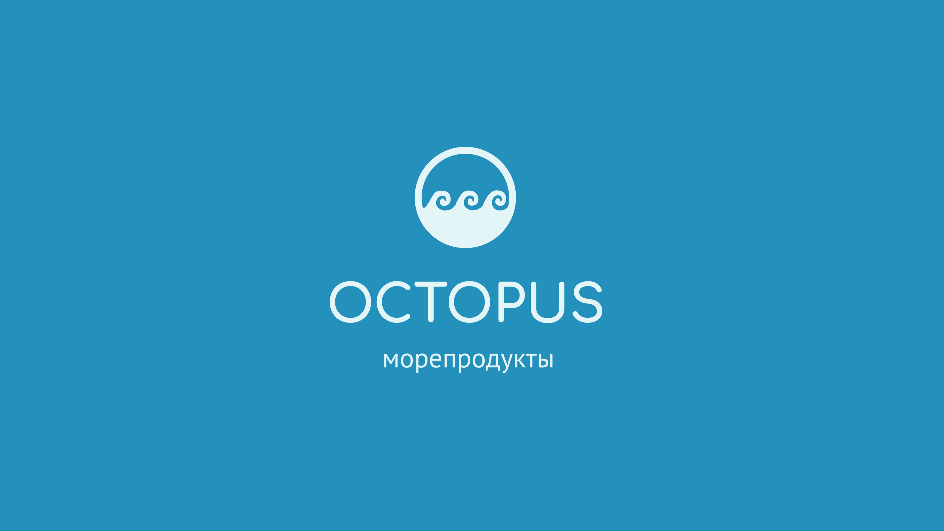 Octopus | Brand identity — Изображение №2 — Брендинг на Dprofile