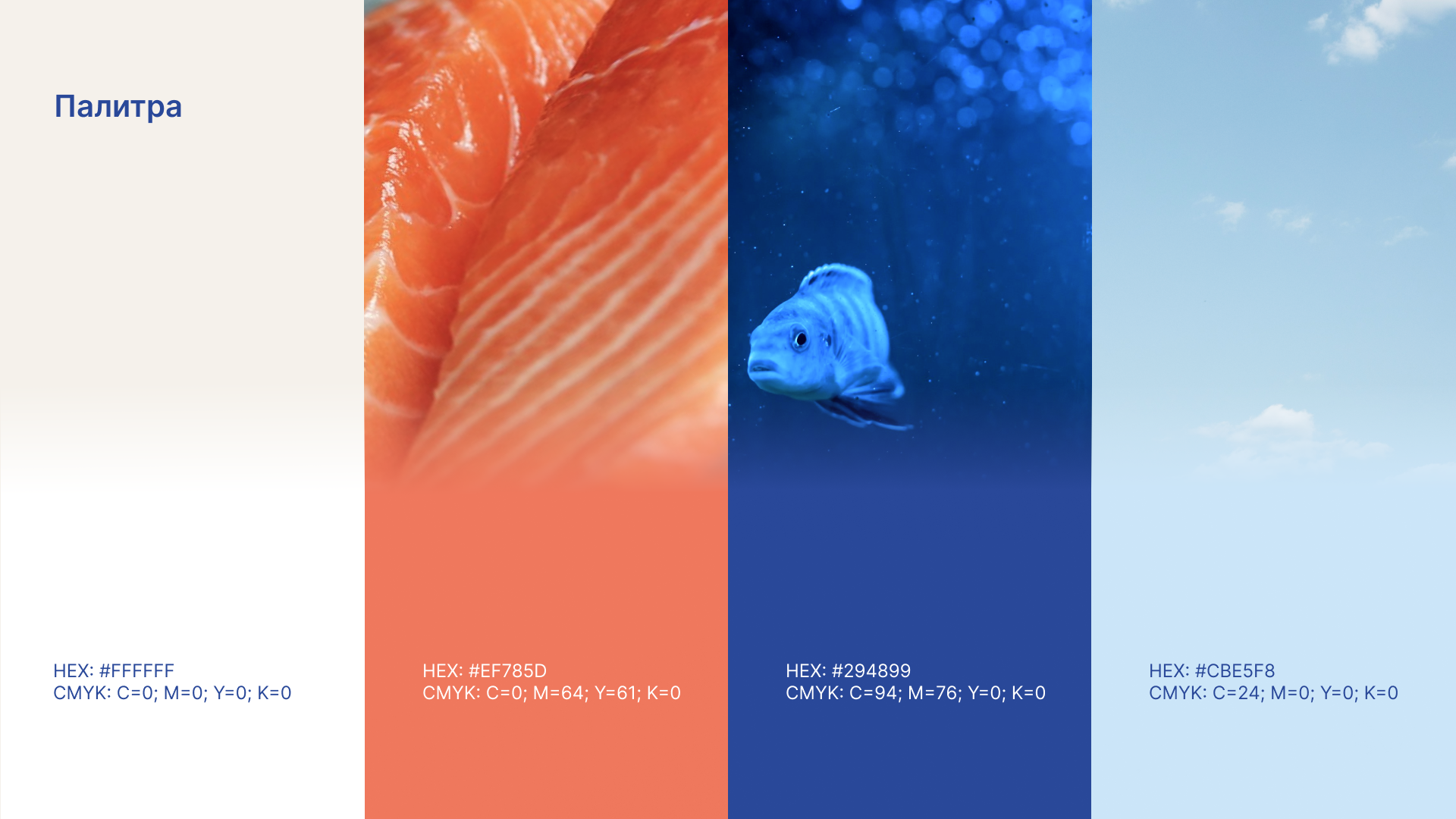 Дизайн упаковки для рыбы /Packaging design seafood — Изображение №2 — Брендинг на Dprofile