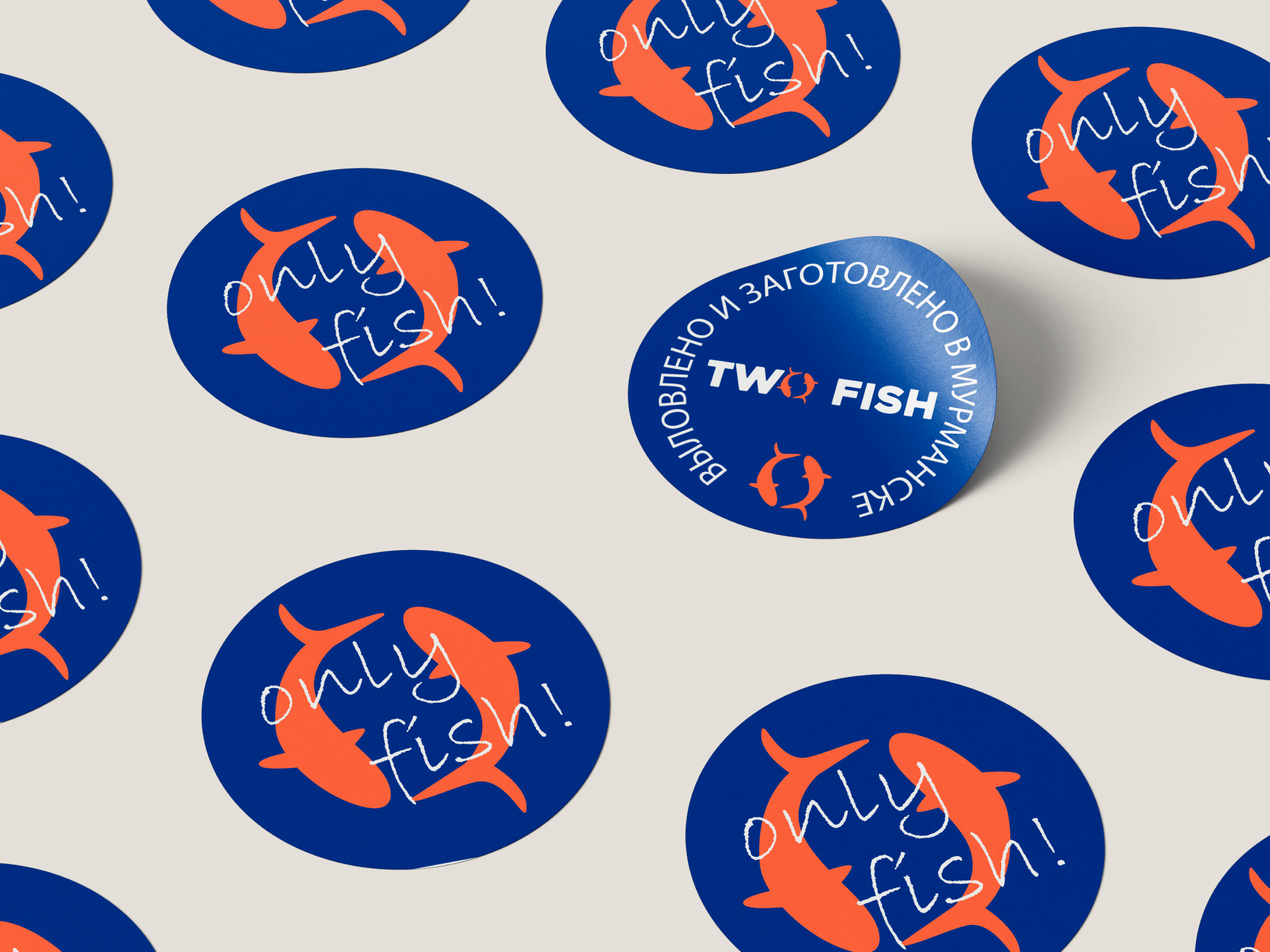 Дизайн упаковки для рыбы /Packaging design seafood — Изображение №8 — Брендинг на Dprofile