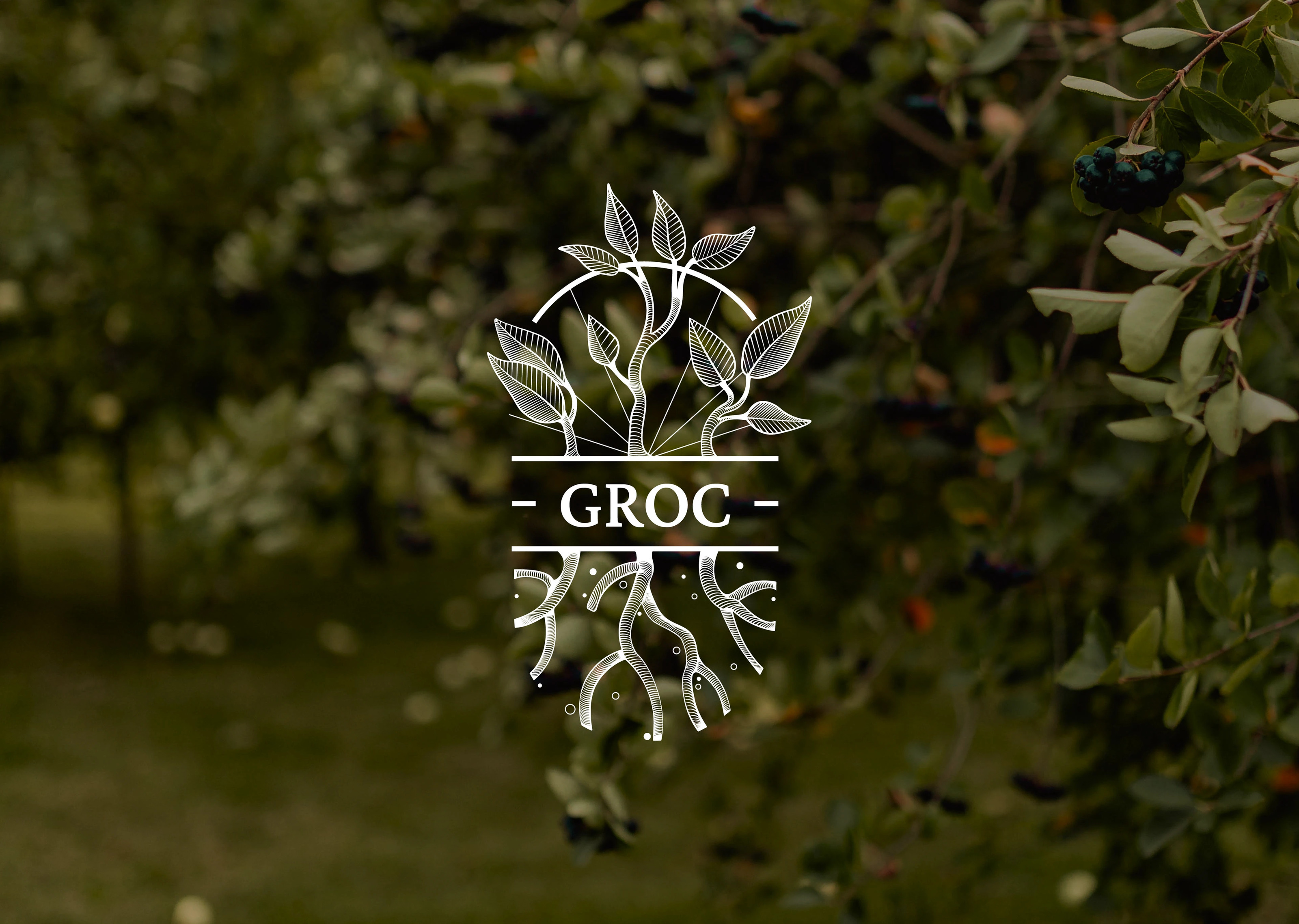 GROC АГРОХОЛДИНГ — Изображение №1 — Брендинг на Dprofile