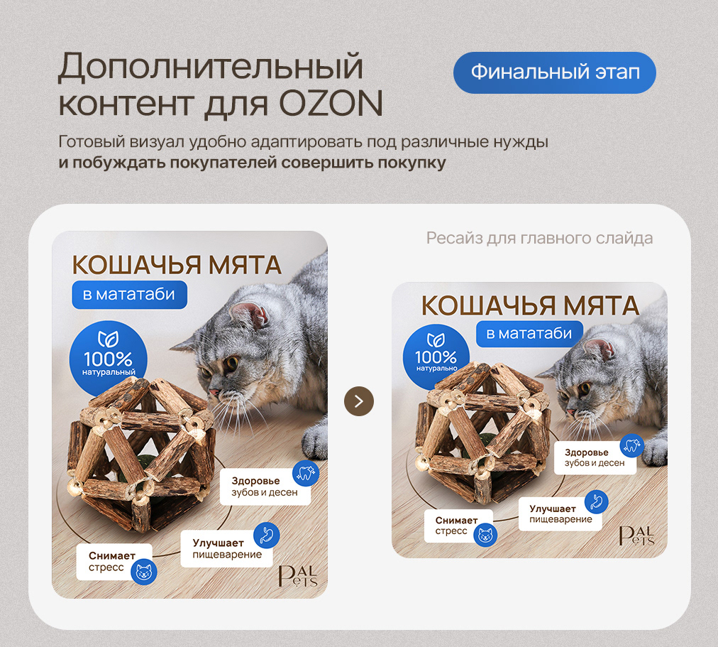 Дизайн карточки для маркетплейс/Инфографика WB — Изображение №3 — Графика на Dprofile