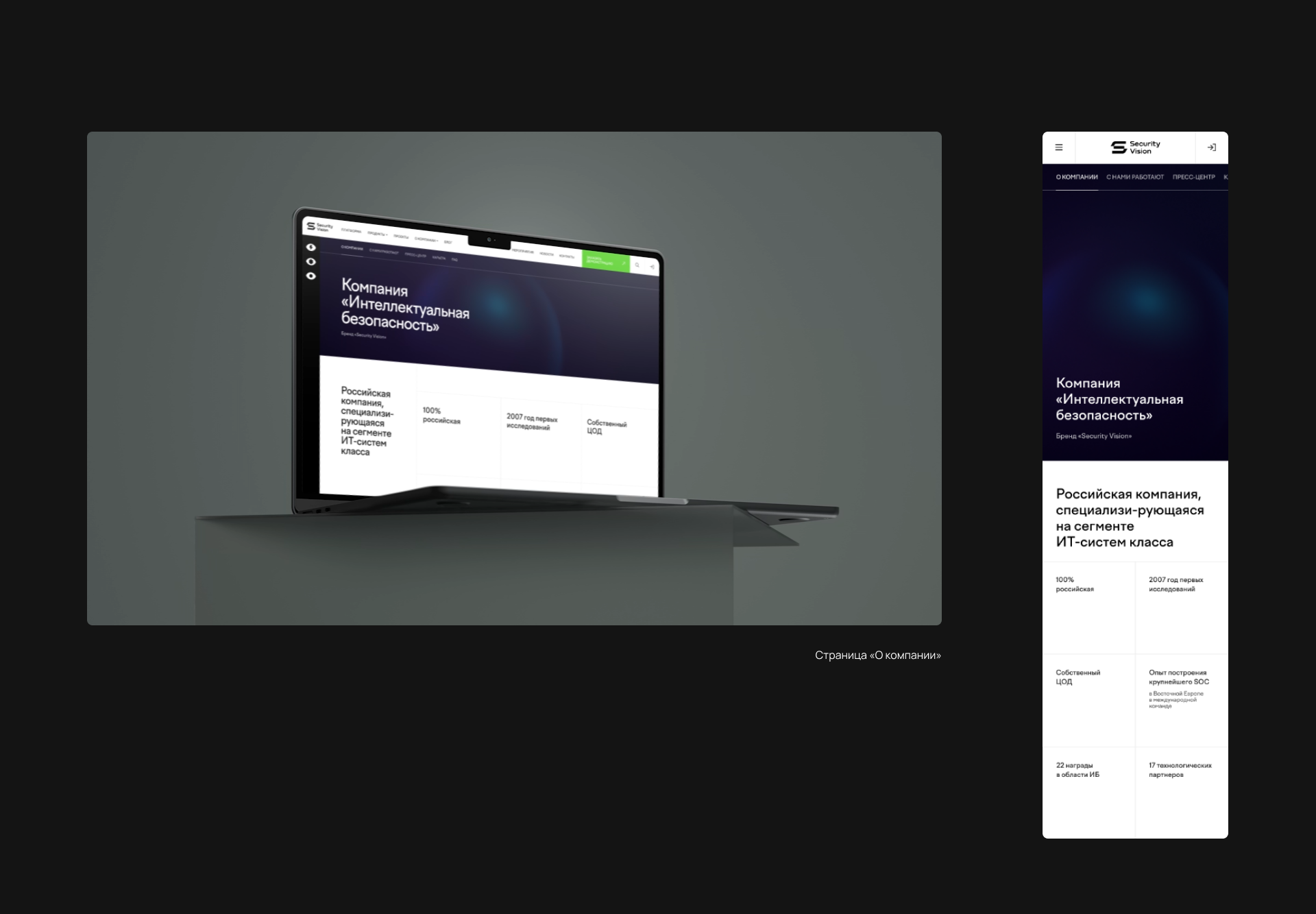 Security Vision, дизайн сайта для IT-платформы — Изображение №7 — Интерфейсы, Графика на Dprofile