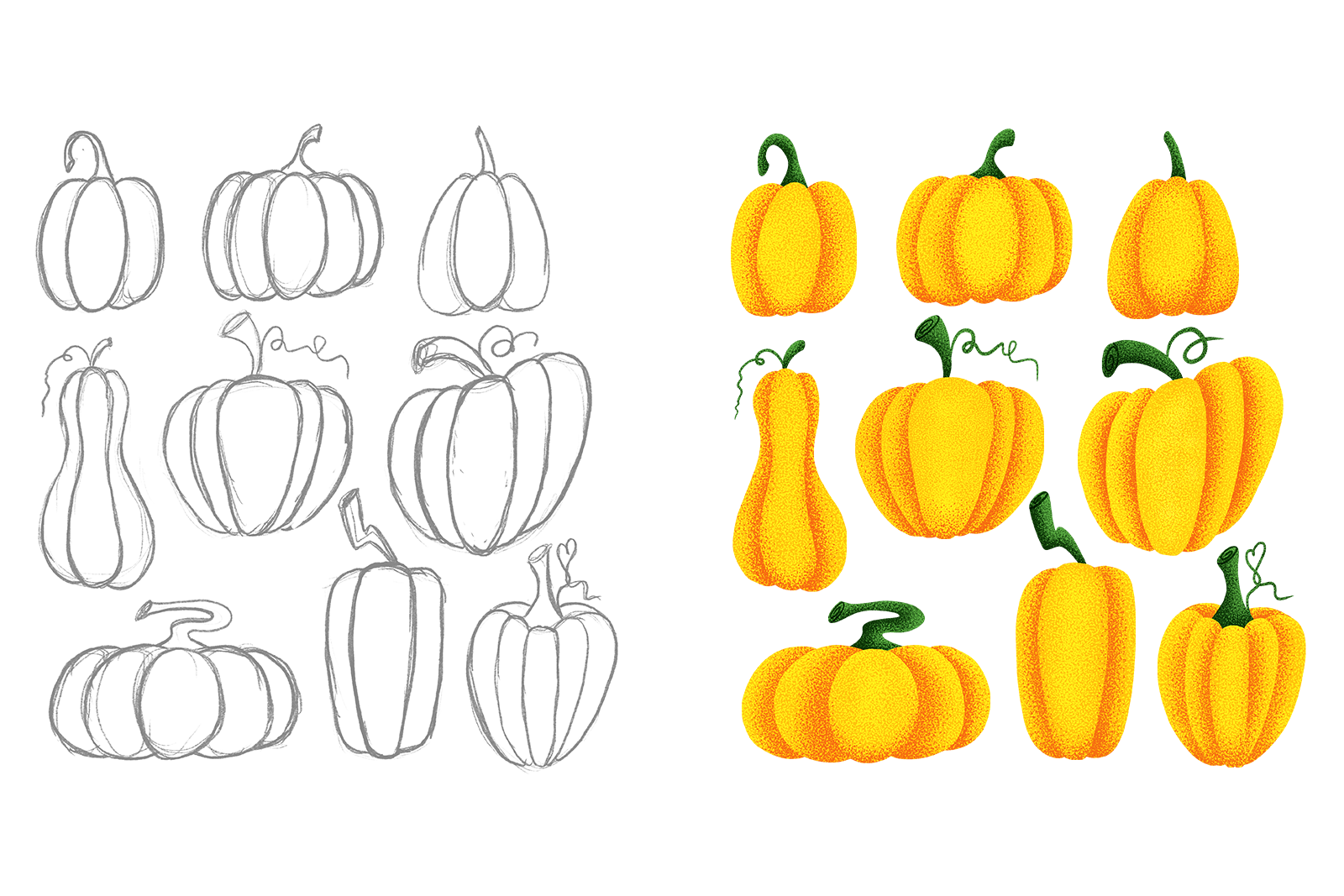 Иллюстрации для упаковки тыквенных семечек — Изображение №4 — Иллюстрация, Маркетинг на Dprofile