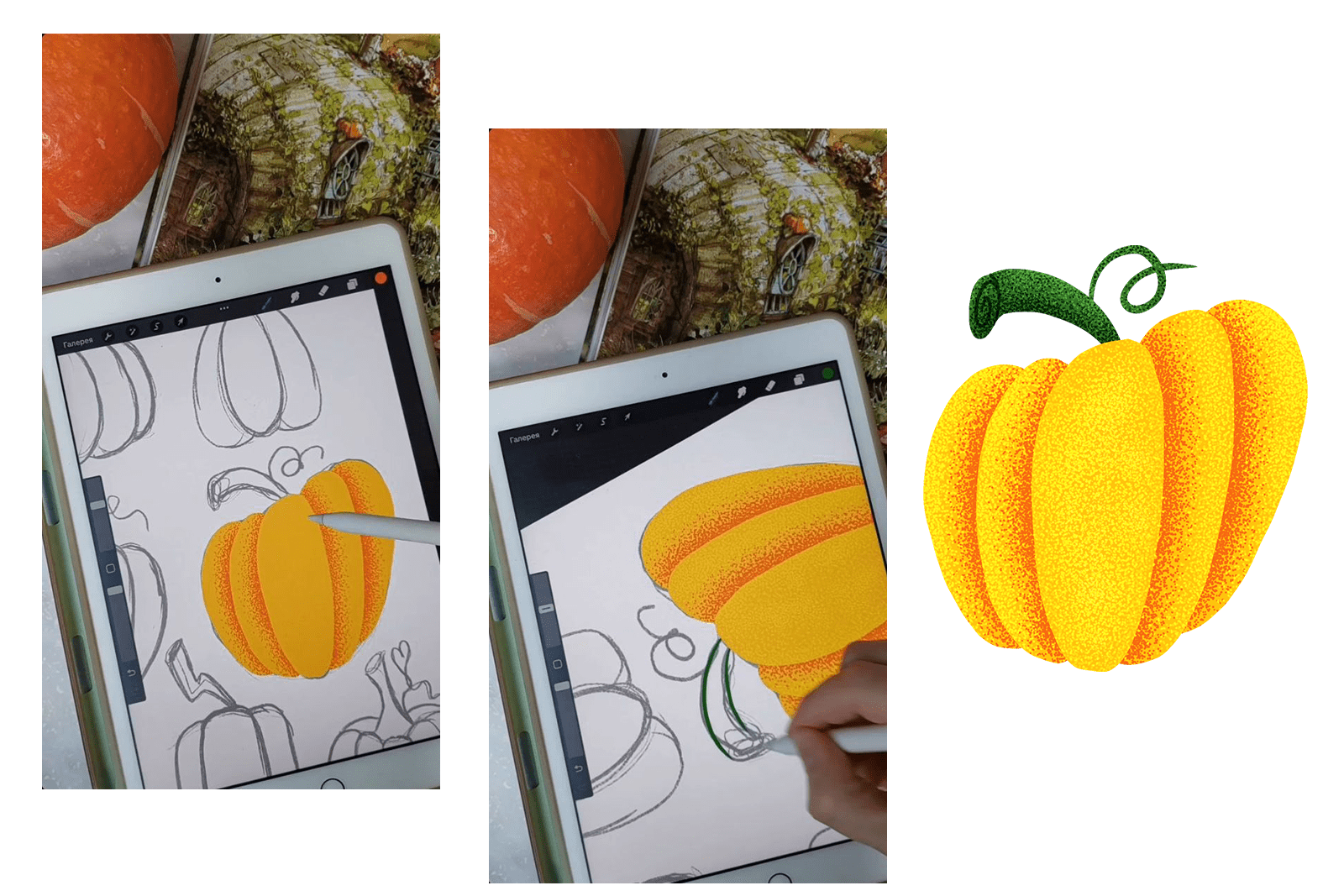 Иллюстрации для упаковки тыквенных семечек — Изображение №5 — Иллюстрация, Маркетинг на Dprofile