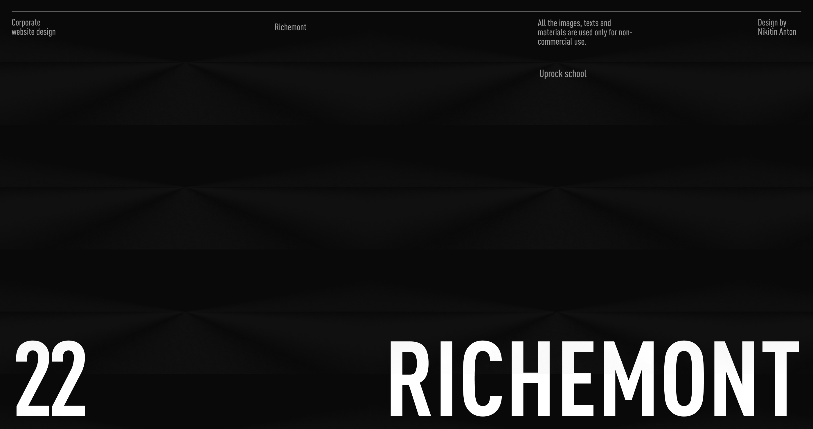 Richemont — corporate website — Изображение №1 — Интерфейсы, Брендинг, Графика на Dprofile