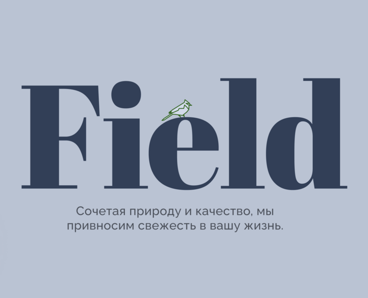 онлайн магазин эко-продуктов. — Интерфейсы, Маркетинг на Dprofile